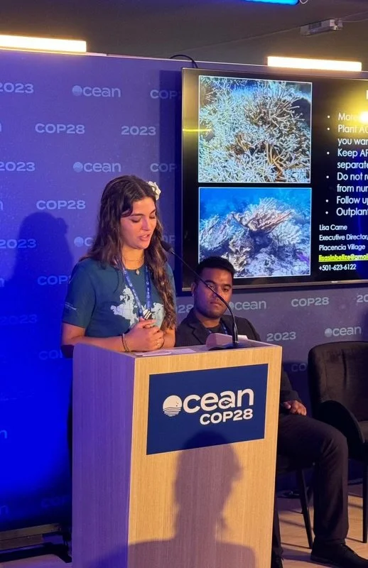 COP28 Presenting.jpeg