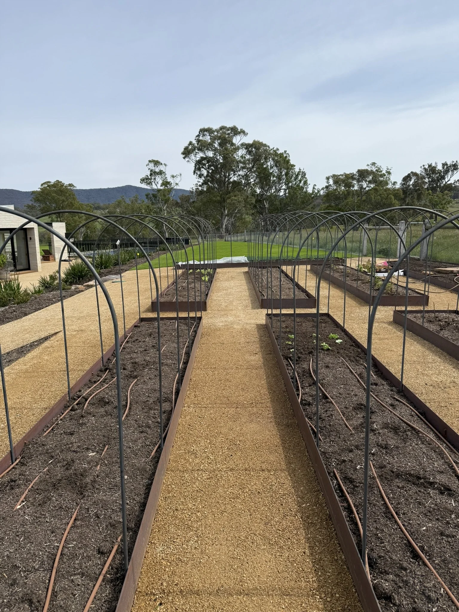 Veggie beds .jpeg
