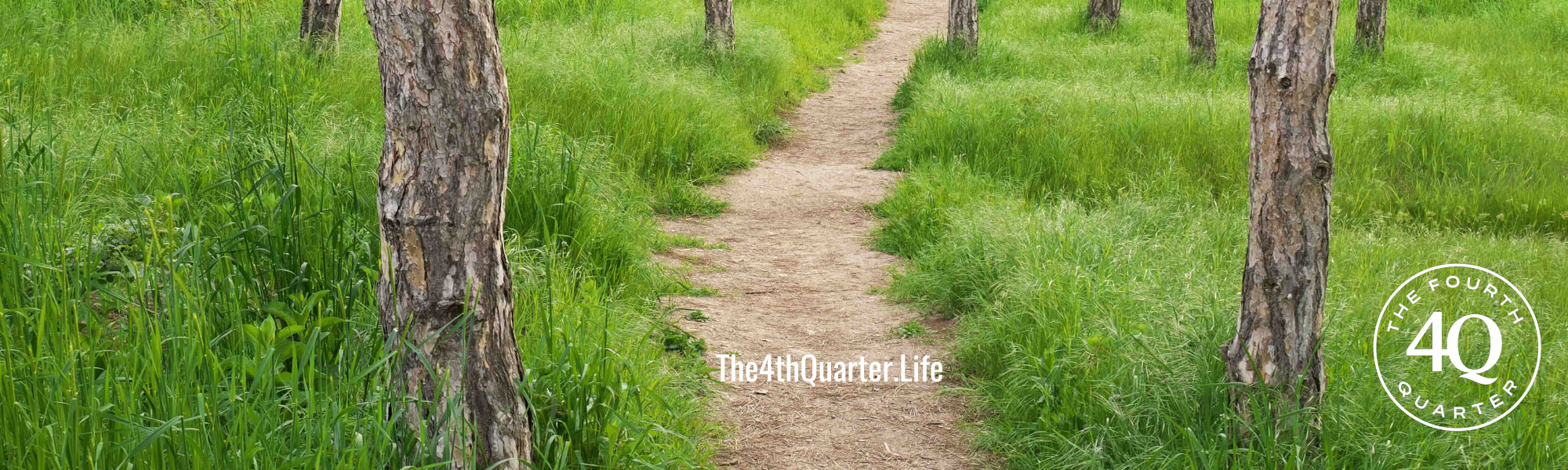 The Middle Path: You Don’t Have to Burn It All Down