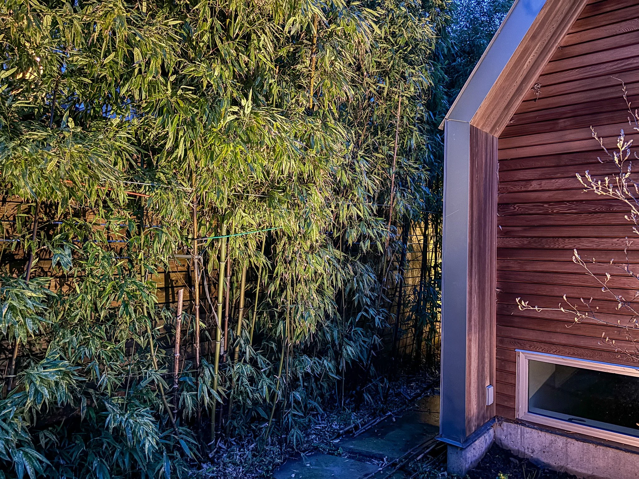 bamboo-garden-lighting-east-vancouver-outdoor-light-owl.jpg