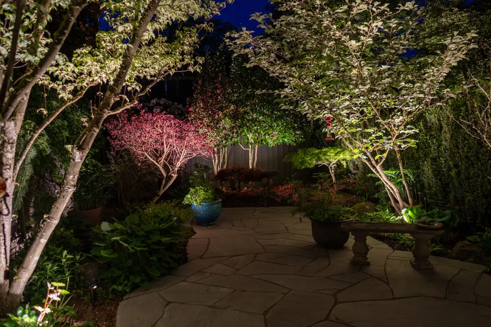 garden-lighting-kitsilano-backyard-uplights.png