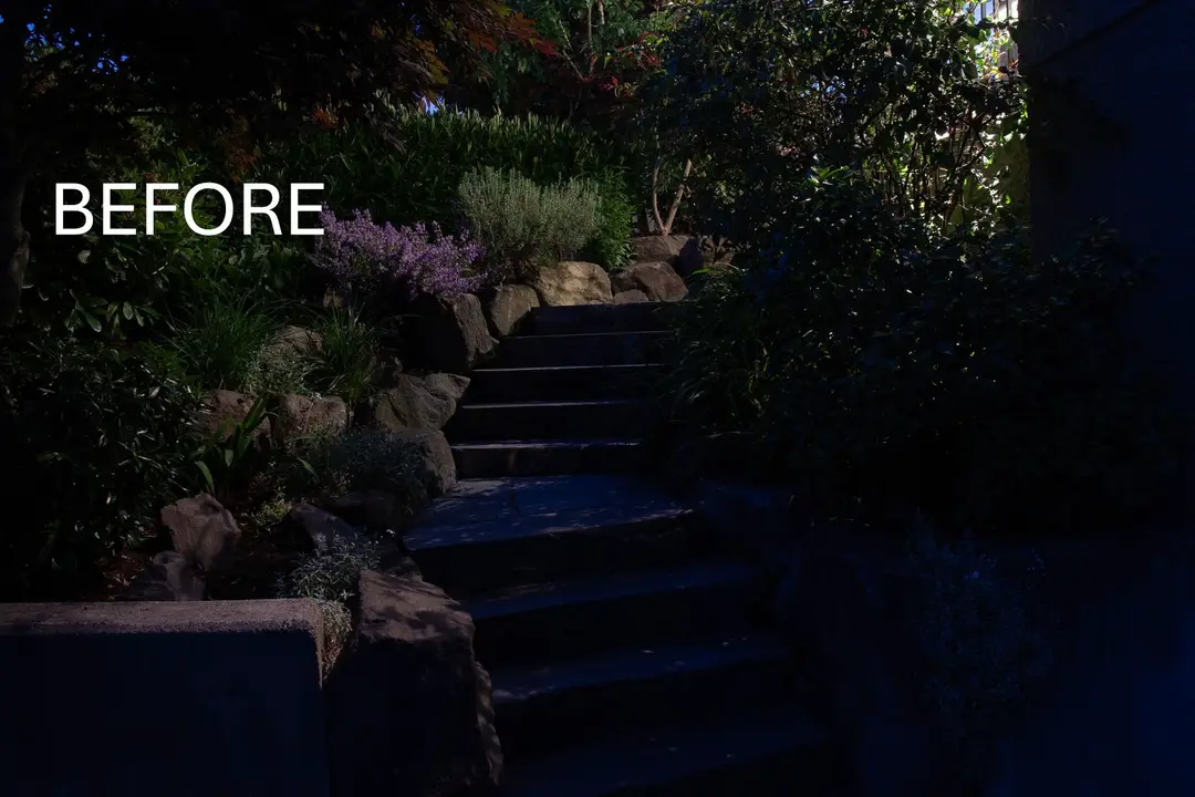 before-dark-unlit-garden-steps.png