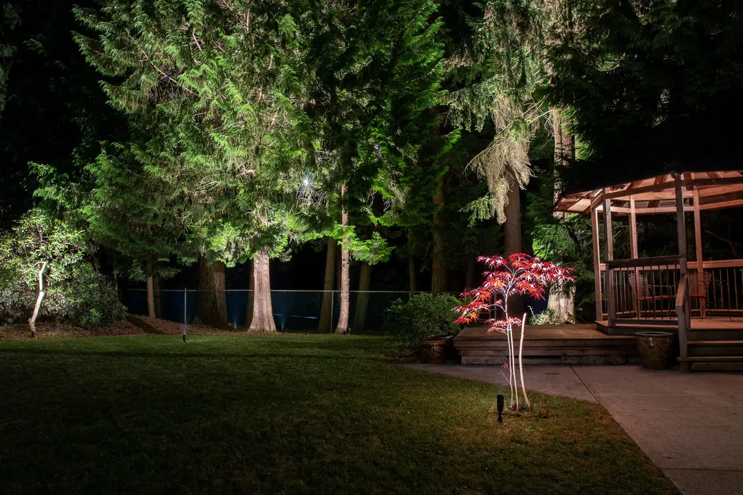 coquitlam-backyard-lighting-wide-view.png