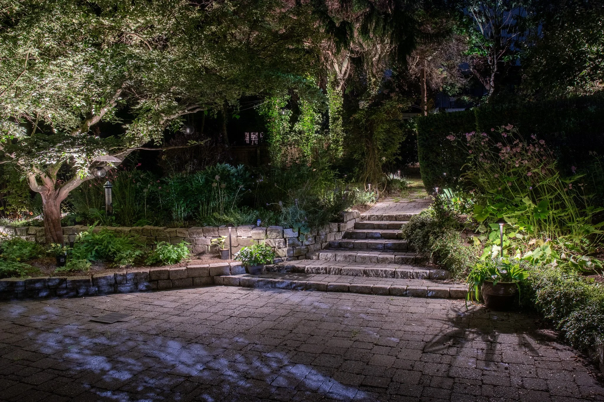 crown-crescent-point-grey-back-yard-lighting.jpg
