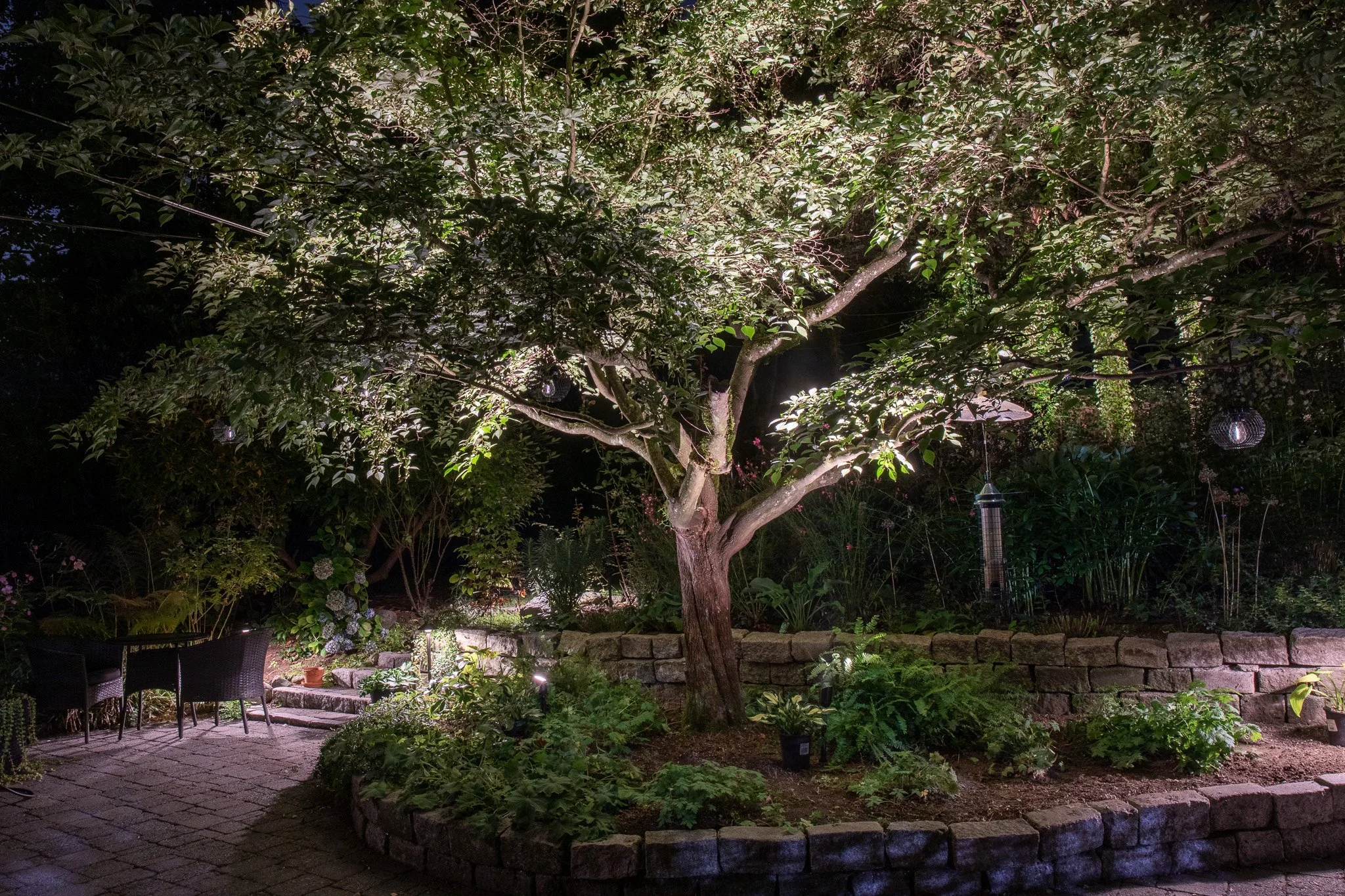 crown-crescent-point-grey-tree-lighting.jpg