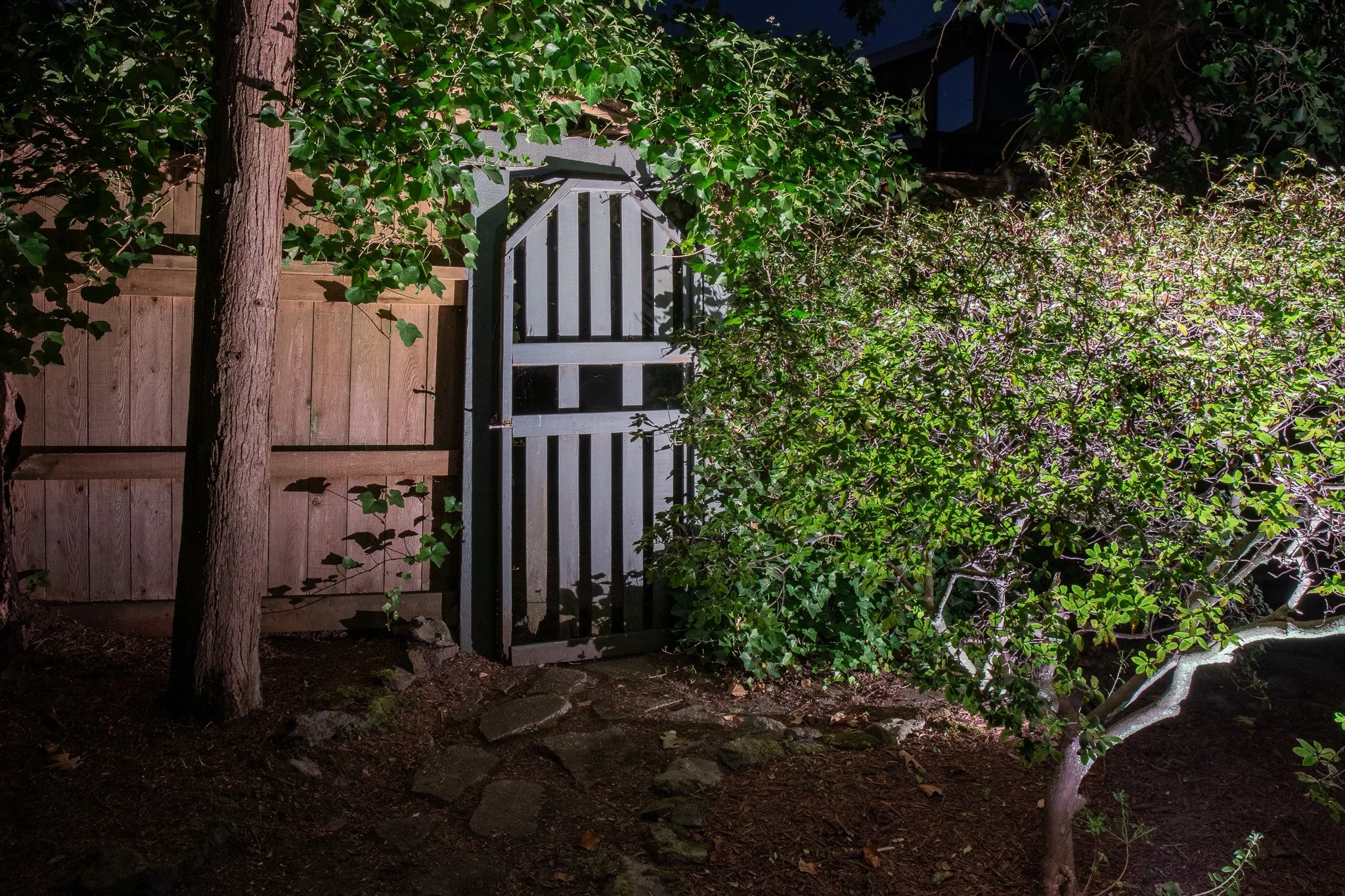 crown-crescent-point-grey-back-yard-lighting-gate.jpg