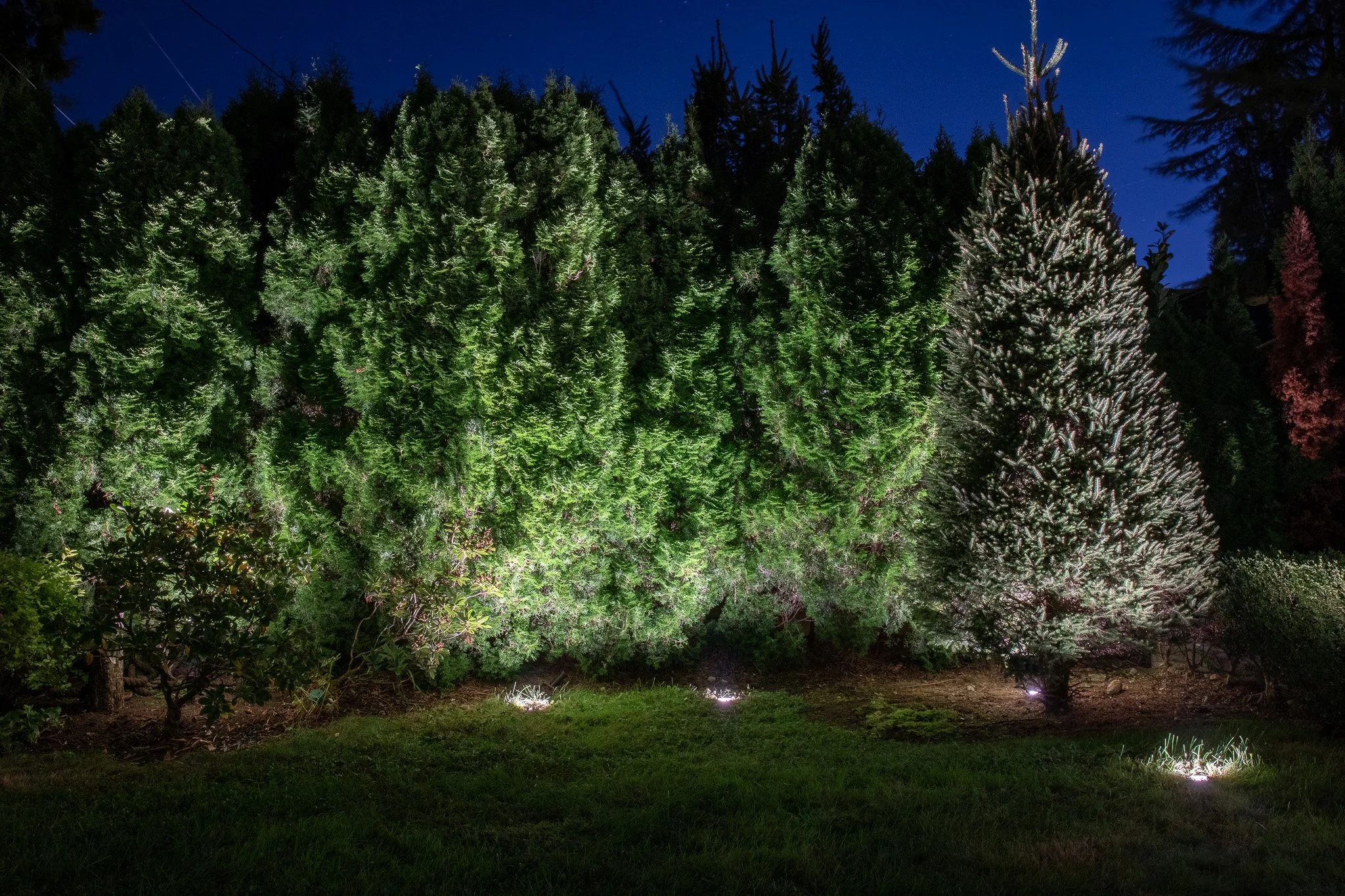 backyard cedar lighting in north vancouver bc.jpg