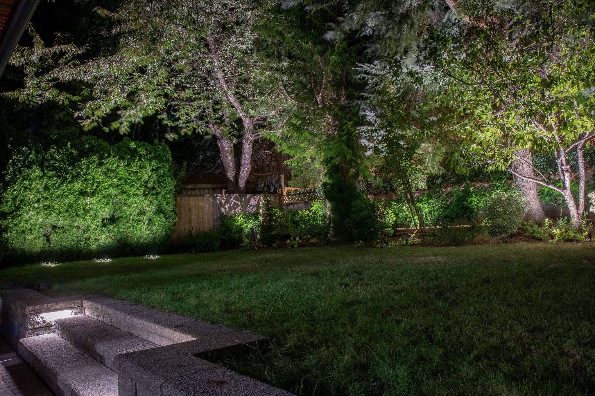 backyard tree lighting in north vancouver.jpg