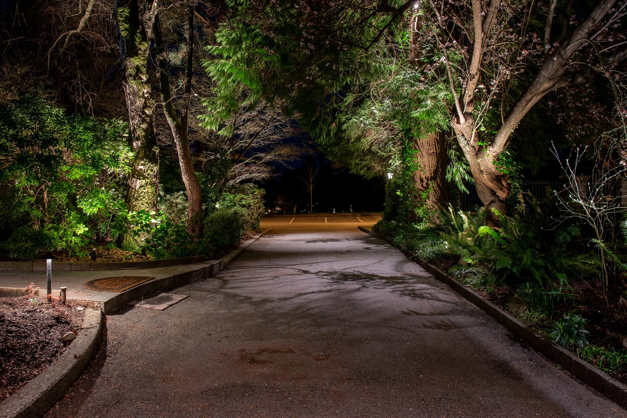 Kerrisdale Woodland