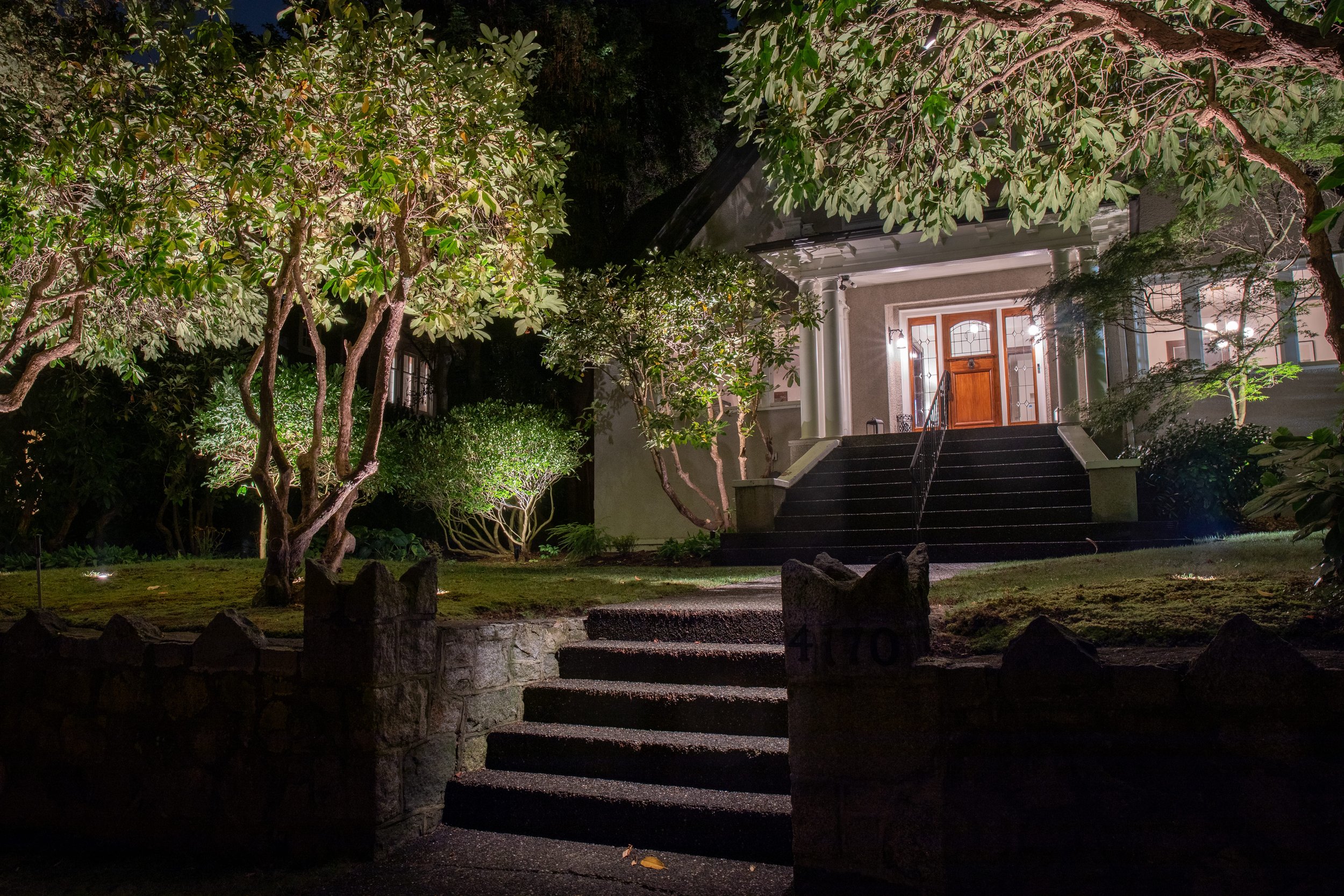 uplit trees and stairway leading up to home