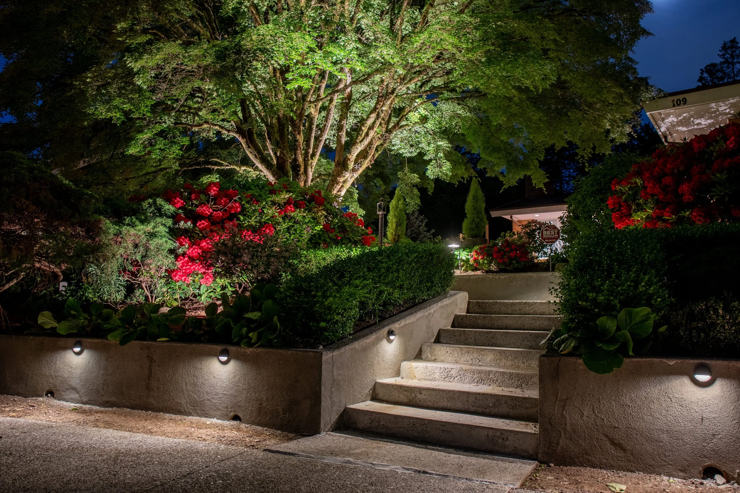 Retaining wall and step lighting with large tree up lighting in background