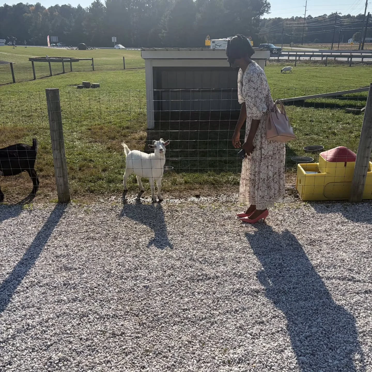 An unexpected moment at the farm reminded me that our relationship with nature and all its creatures is a matter of curiosity and the courage to connect.

#Vibespann #nature #connection #wellnesscommunity #wellbeing
