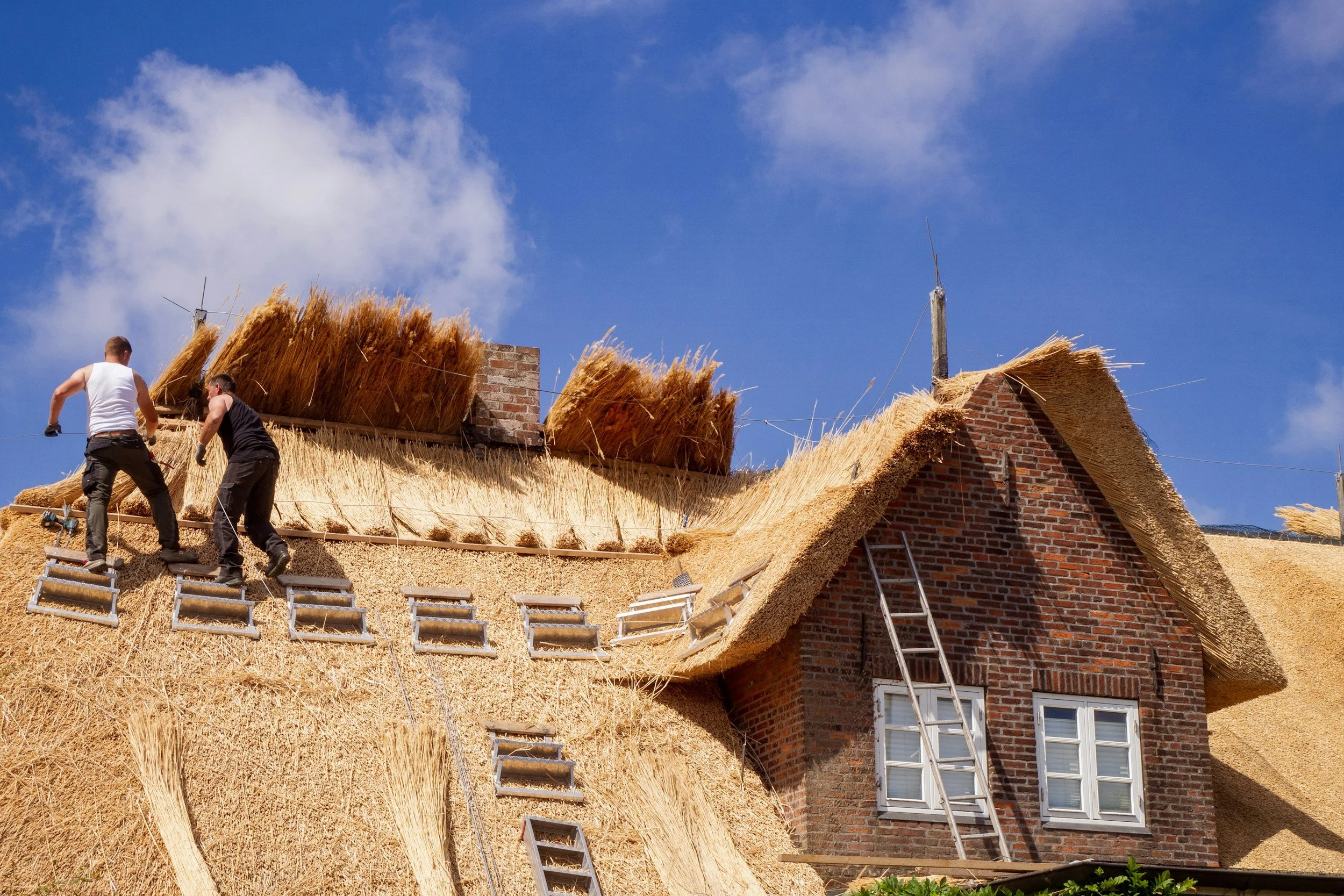 Zwei Handwerker legen eine Strohdach auf ein altes Backsteinhaus, während die Sonne scheint und der Himmel blau ist.