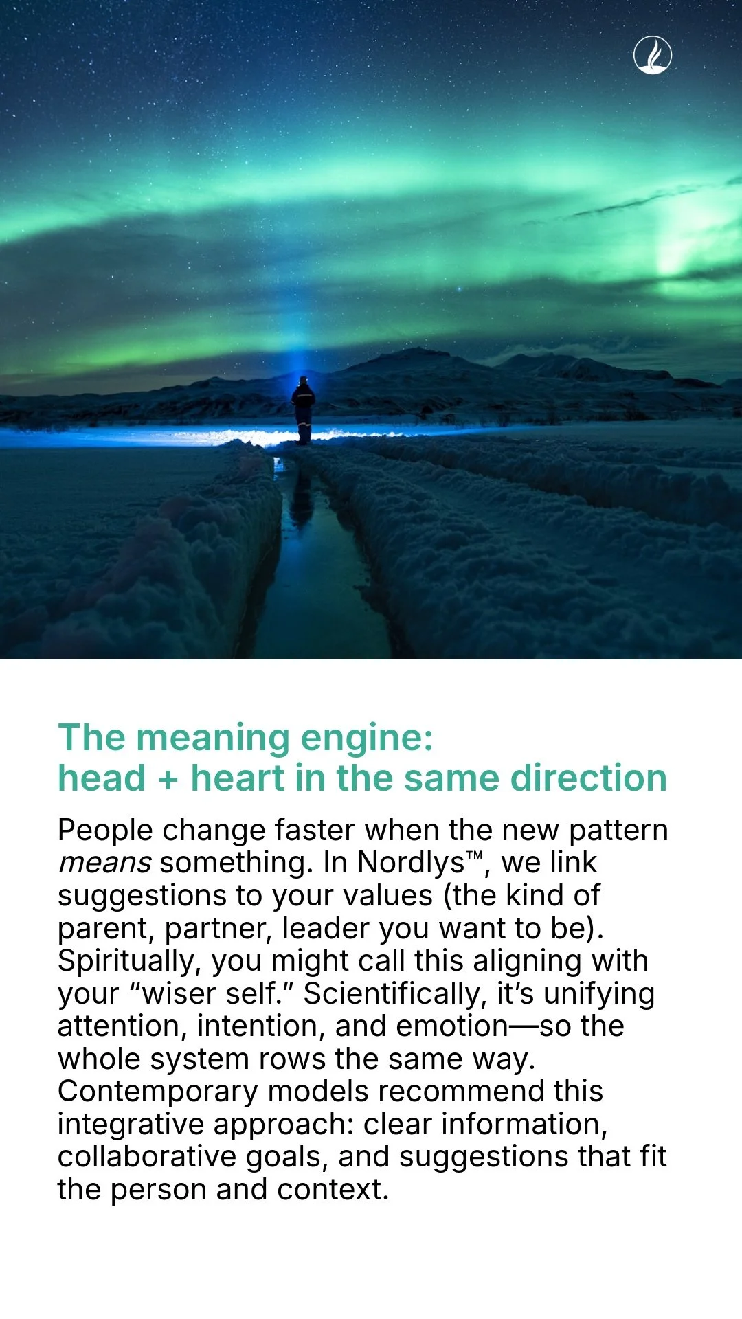 Nighttime scene of a person standing on a snow-covered landscape, holding a flashlight. The sky is illuminated with green and blue northern lights, and the landscape includes mountains in the background.