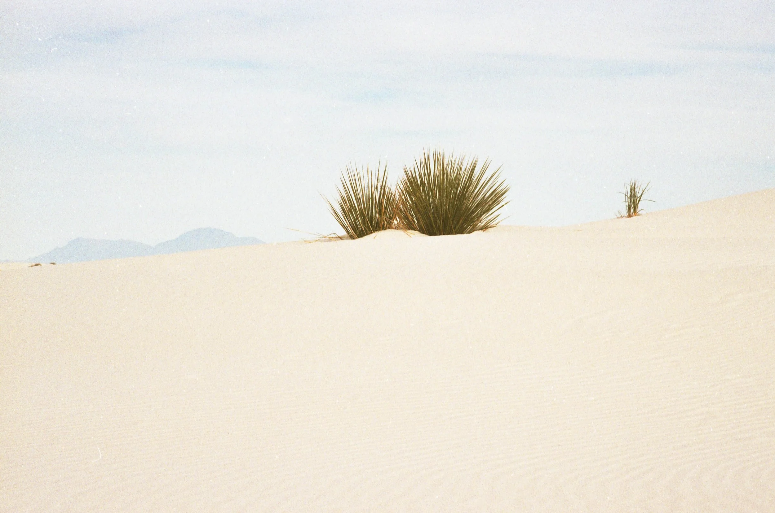 WesternSands.jpg