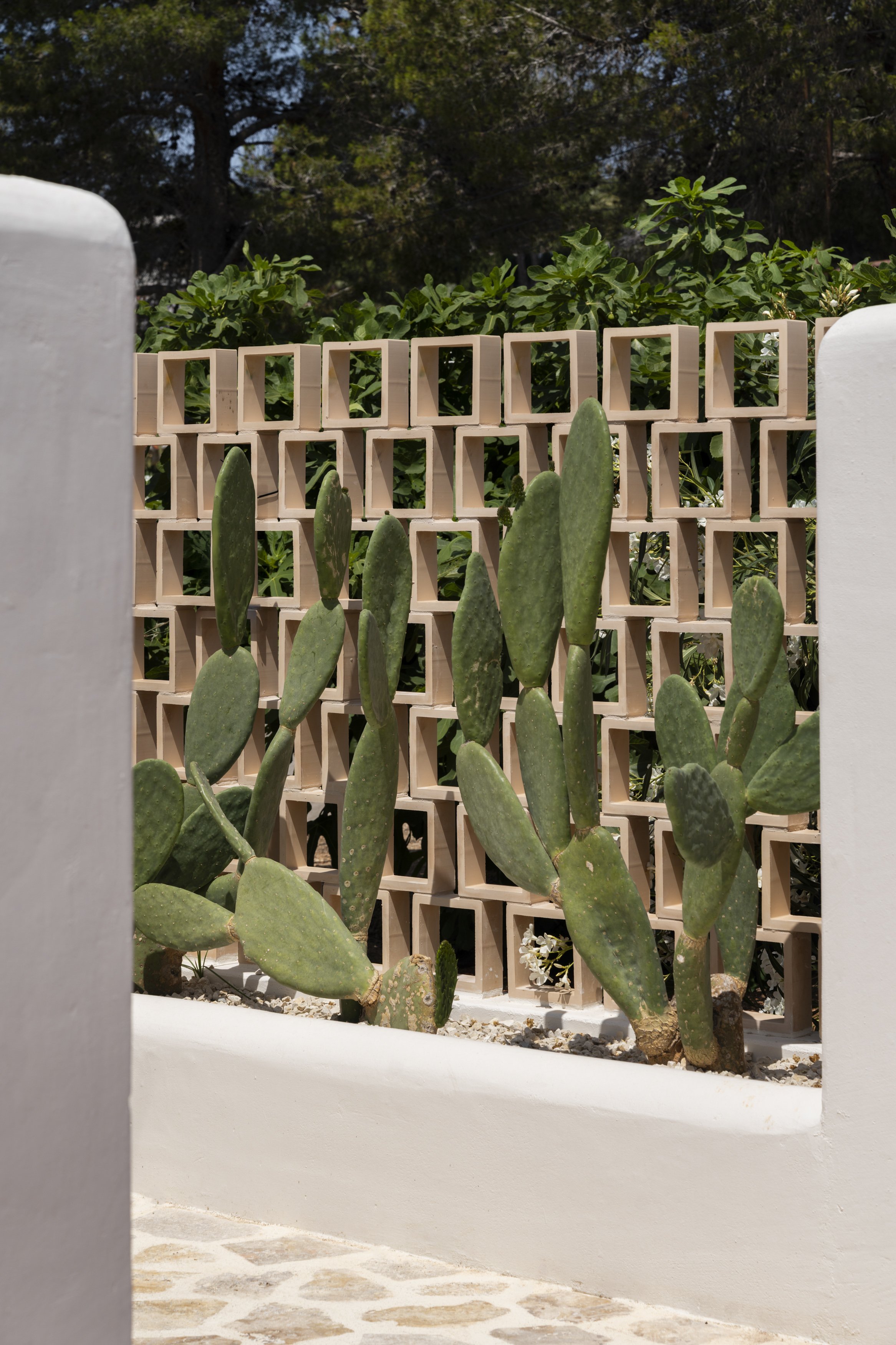 Studio Base_Vivienda Cuablanc 05.jpg