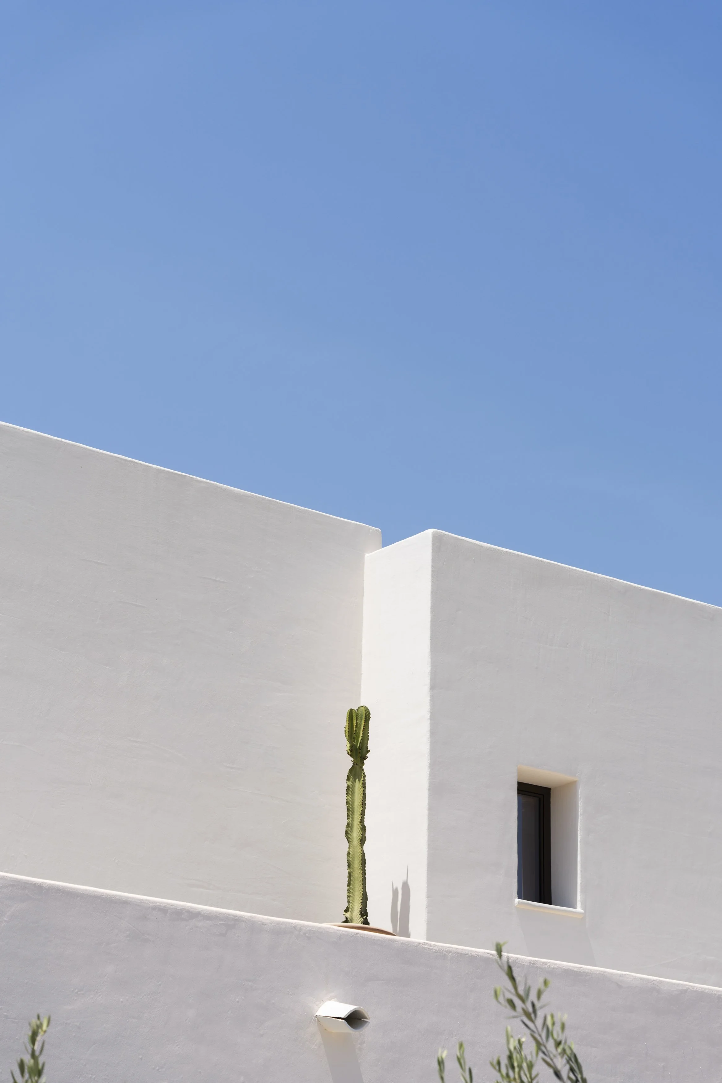 Studio Base_Vivienda Cuablanc 14.jpg