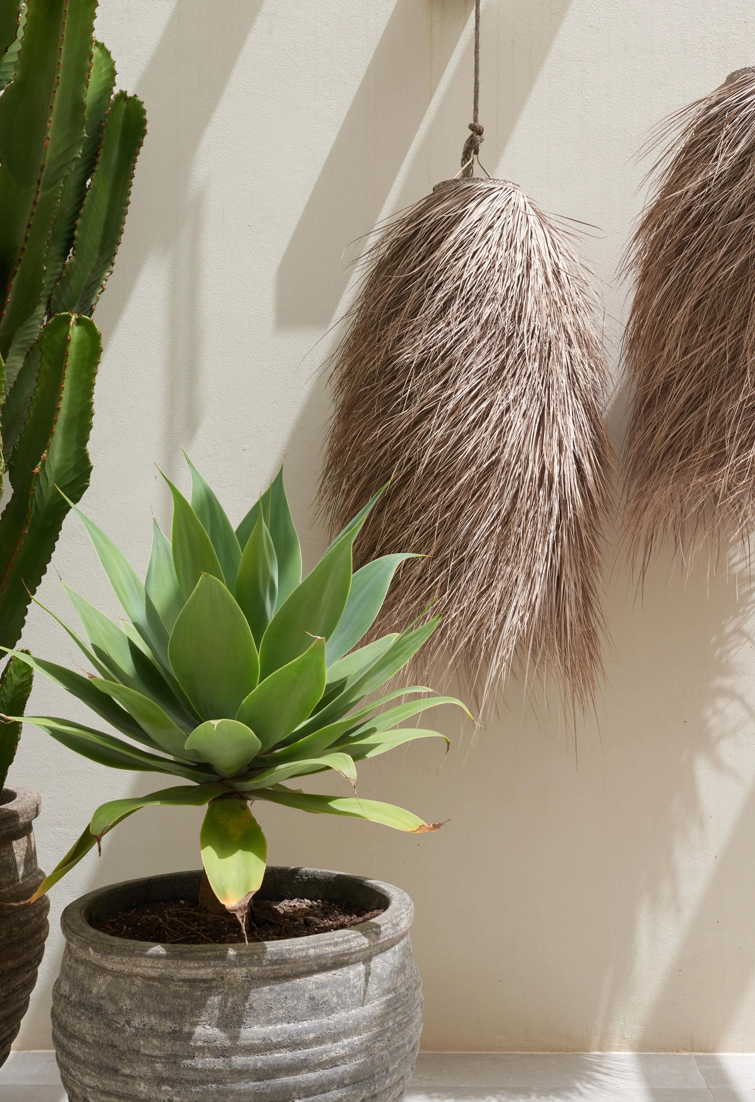 Casa Catharina 101.jpg