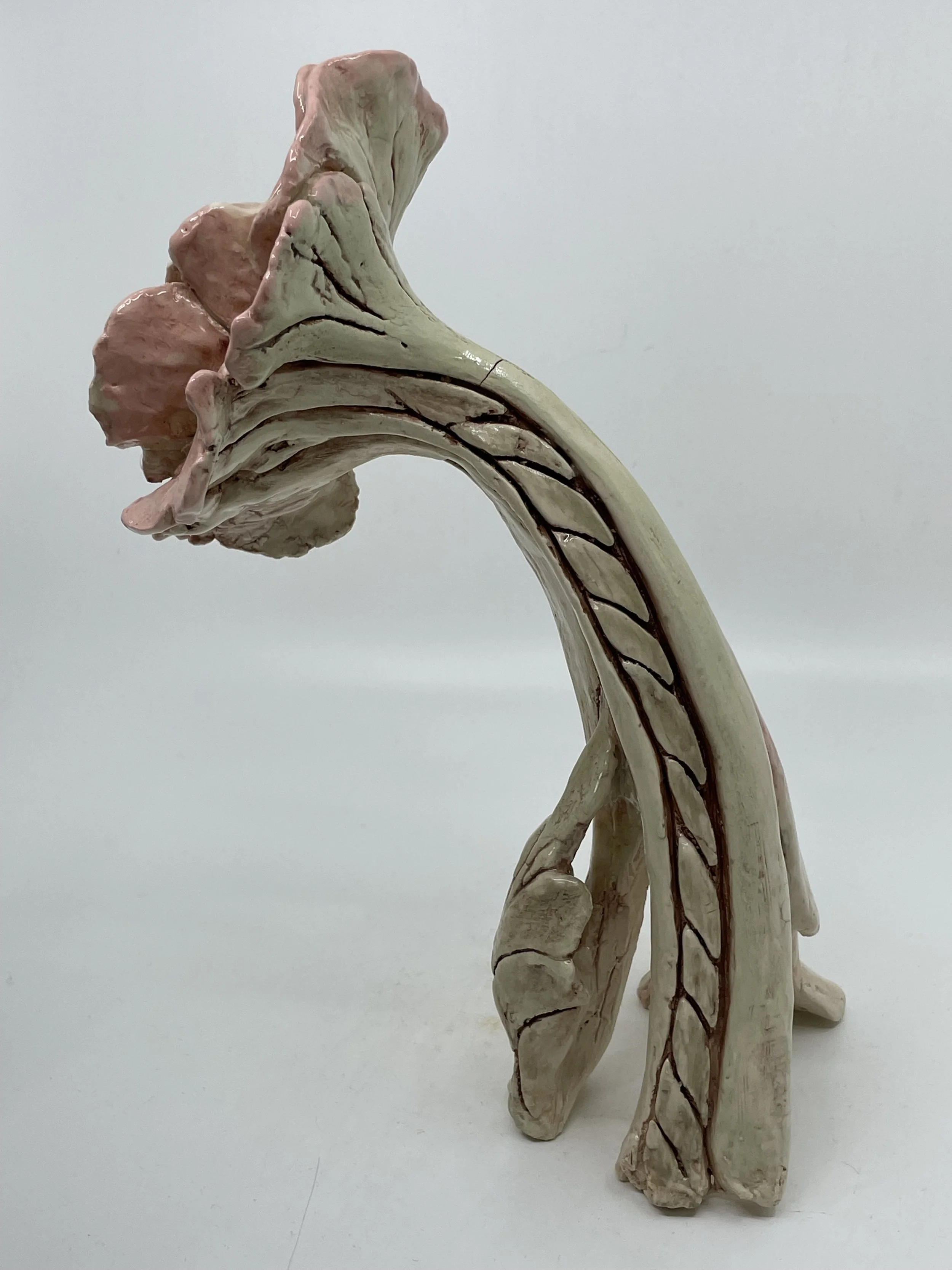 Wandering Rose