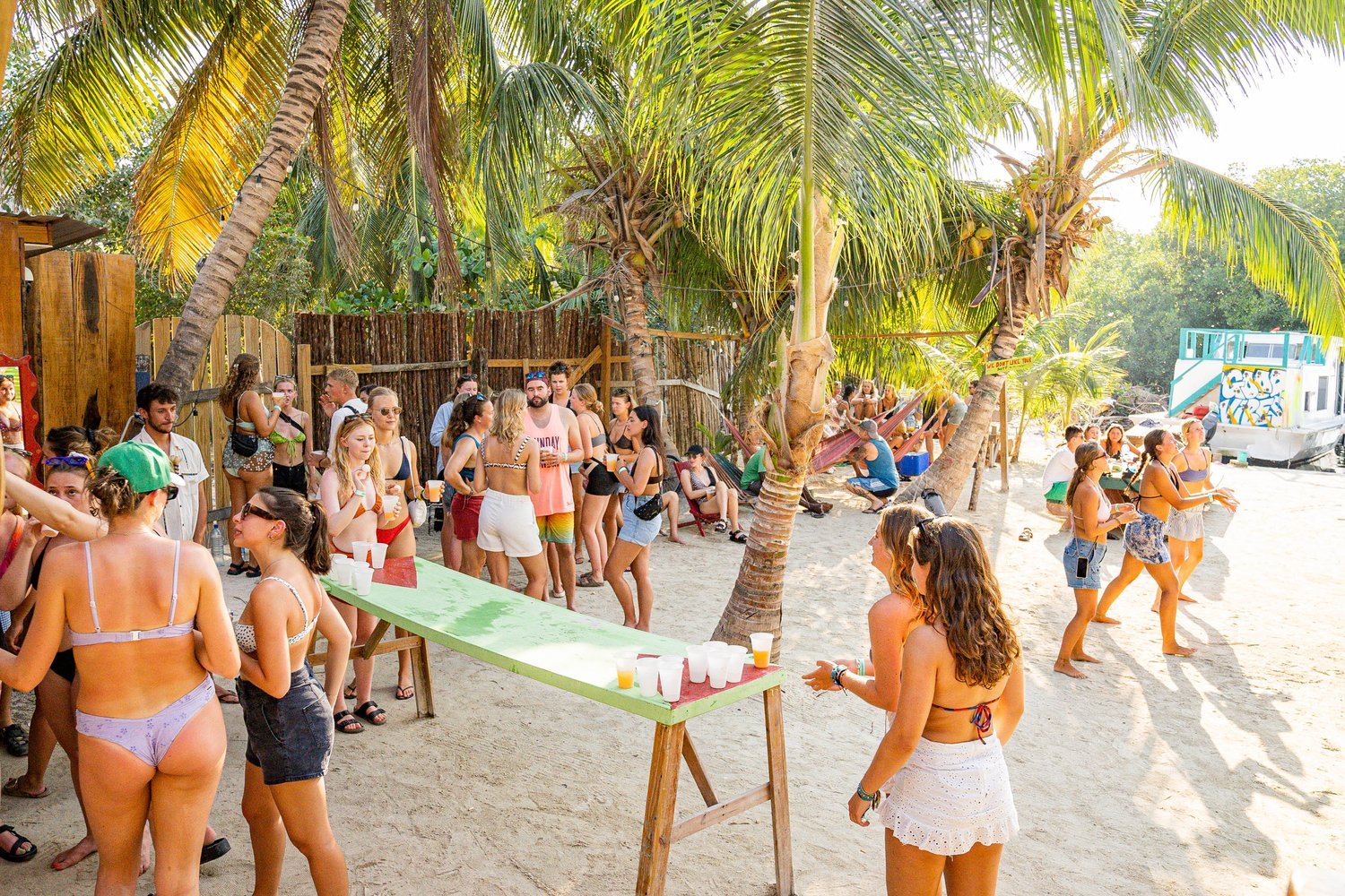A beach party scene with people socializing and playing games under palm trees on sandy ground, with a boat and tropical foliage in the background.