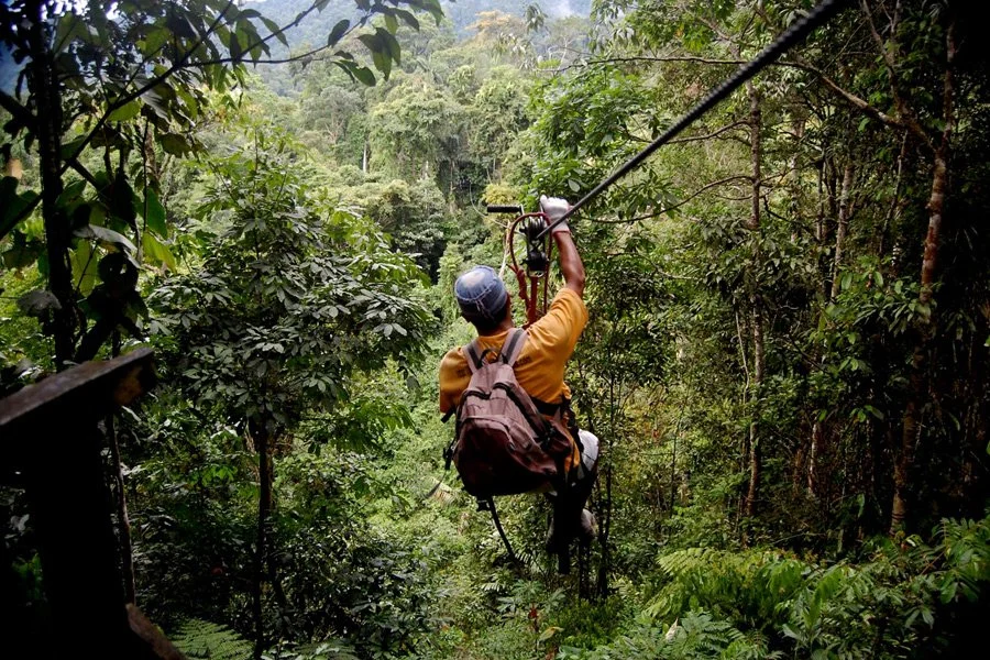 Person ziplining through a dense green rainforest wearing a yellow shirt, helmet, and backpack.