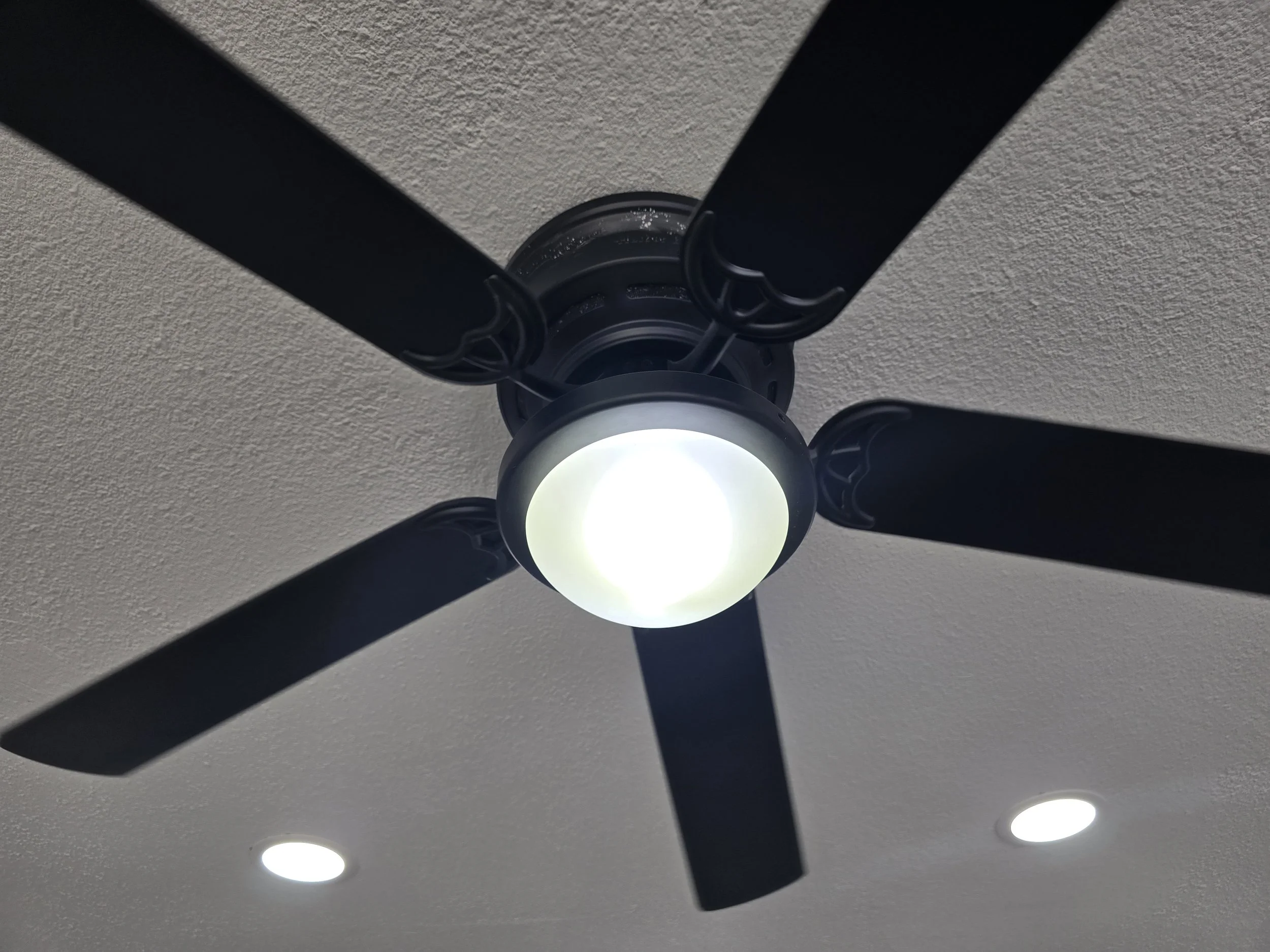 20250728_100332.jpg