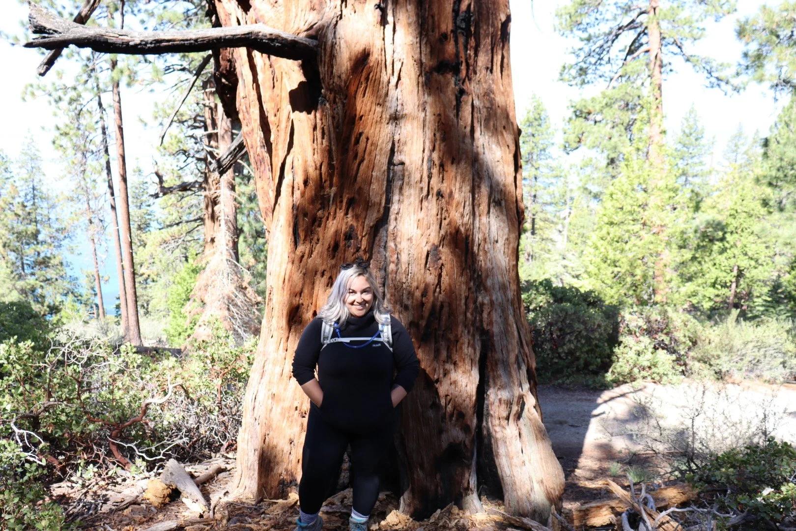 A woman standing in front of a large tree trunk in a forest, smiling at the camera.