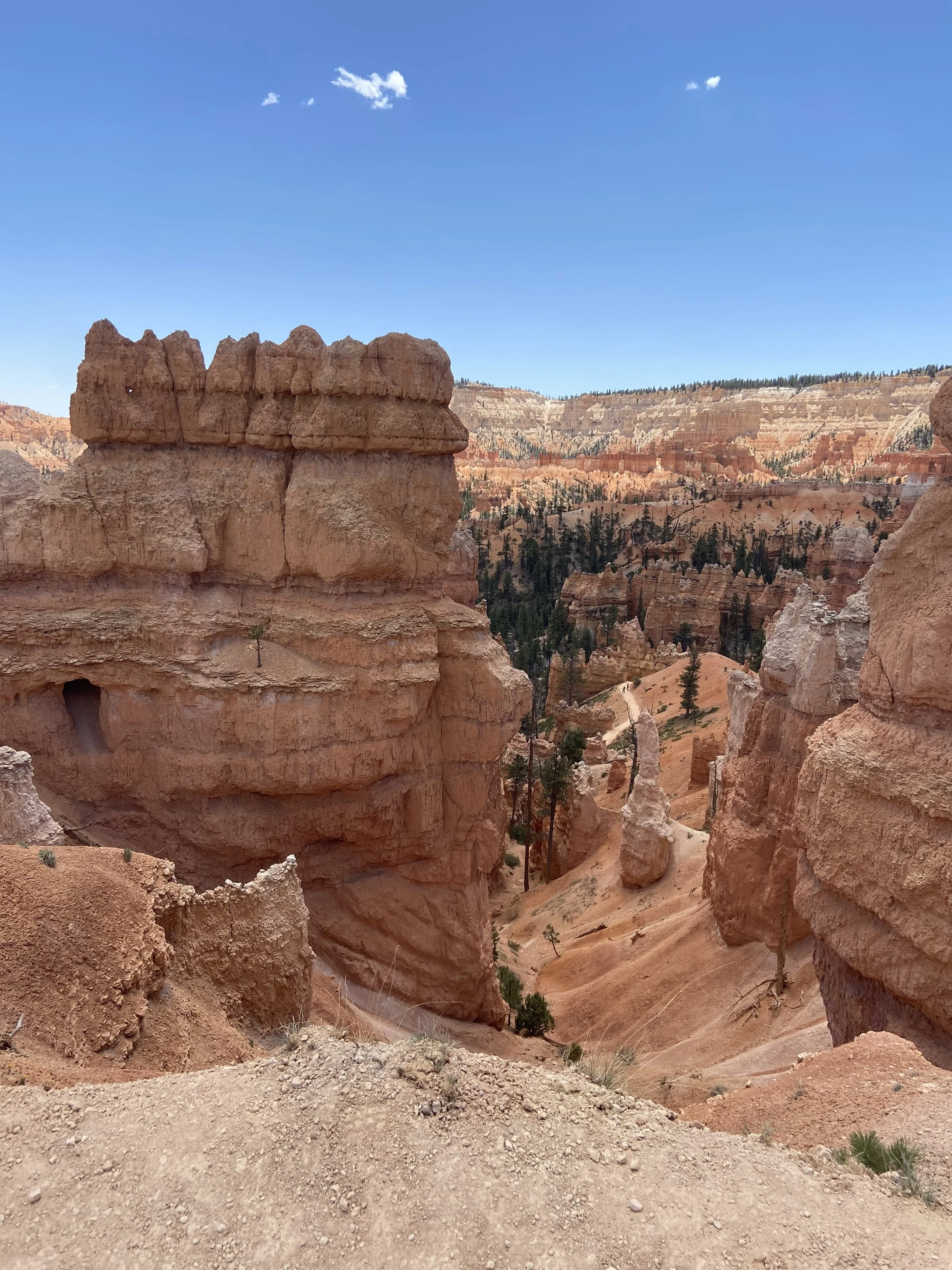 View of orange and red rock formations and cliffs in Bryce Canyon National Park with scattered trees and a clear blue sky.