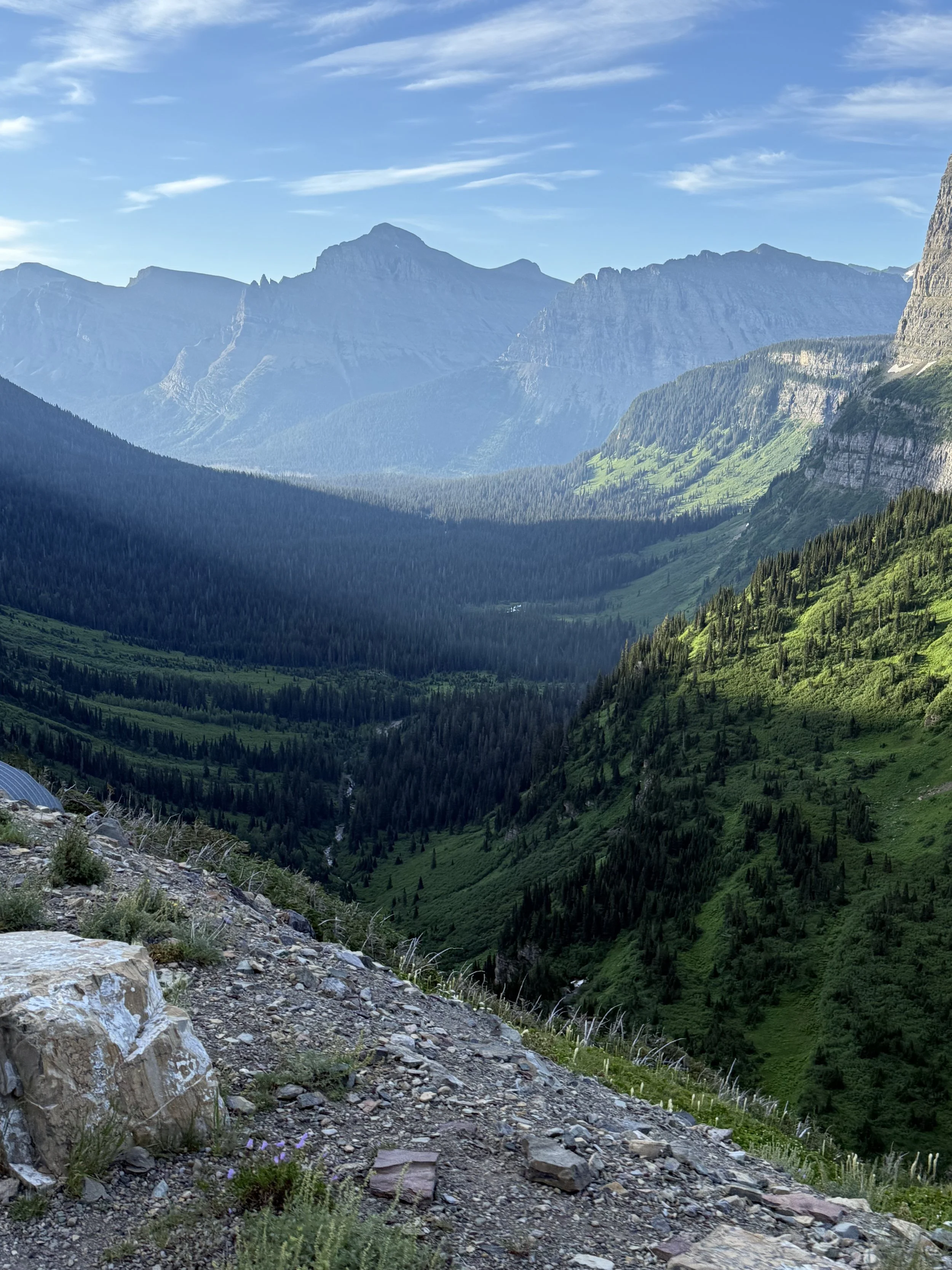 Mountain valley with lush green slopes, dense forest, rocky foreground, and distant mountain peaks under a clear blue sky.
