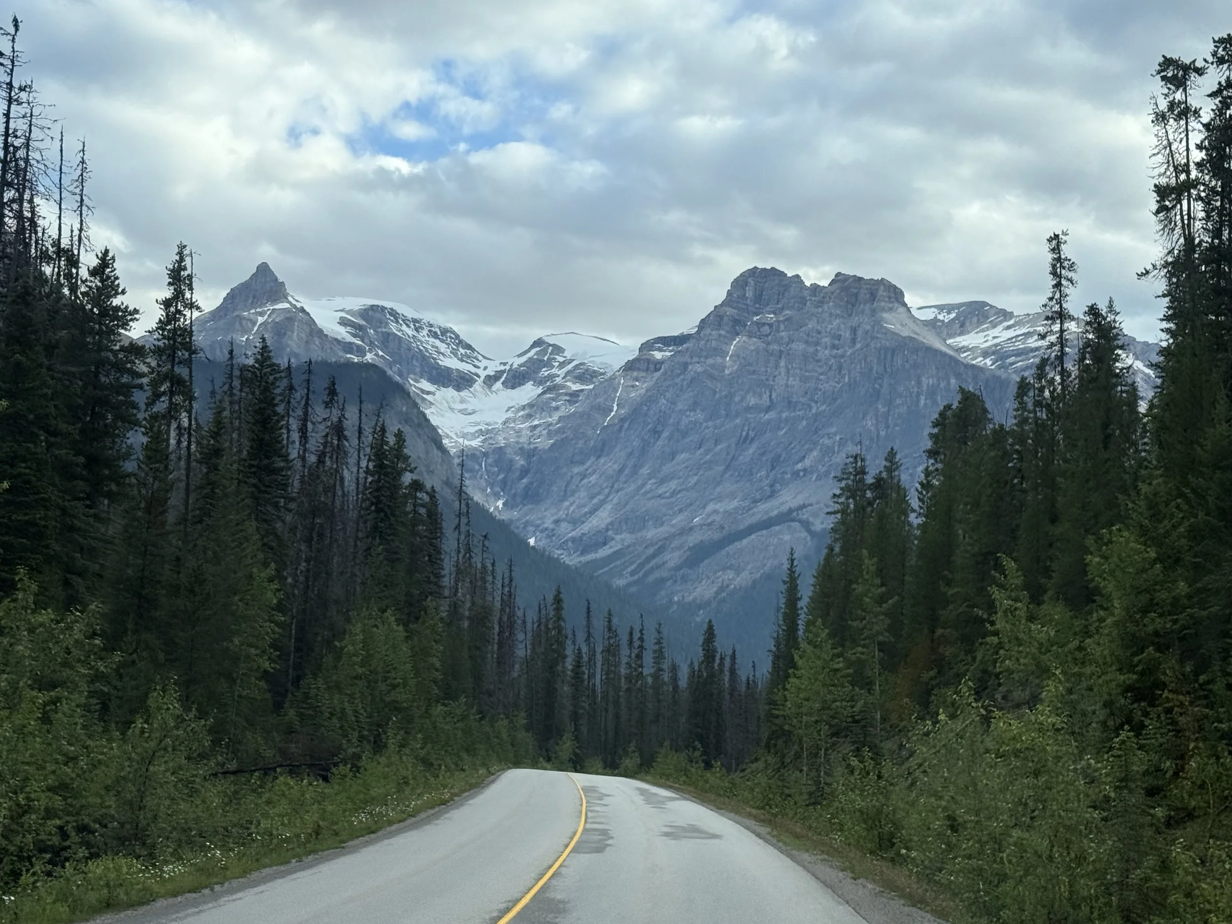 A winding mountain road flanked by green trees leading towards snow-capped mountains under cloudy sky.