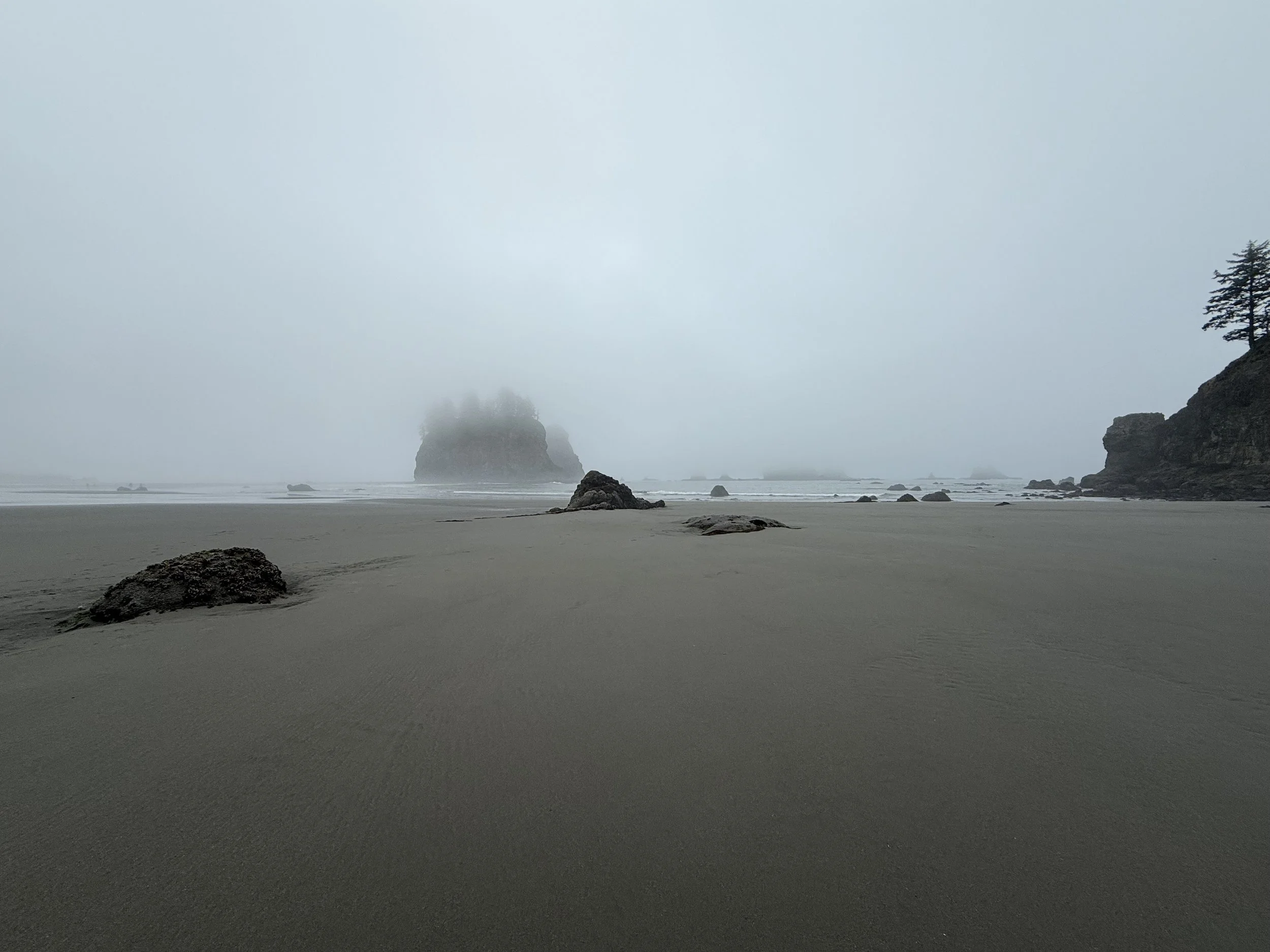 A foggy beach scene with large rocks scattered on the sand, cliffs on the right, a large rock formation or island in the distance, and a few trees on the cliffs, all shrouded in mist. PNW Olympic National Park Washington