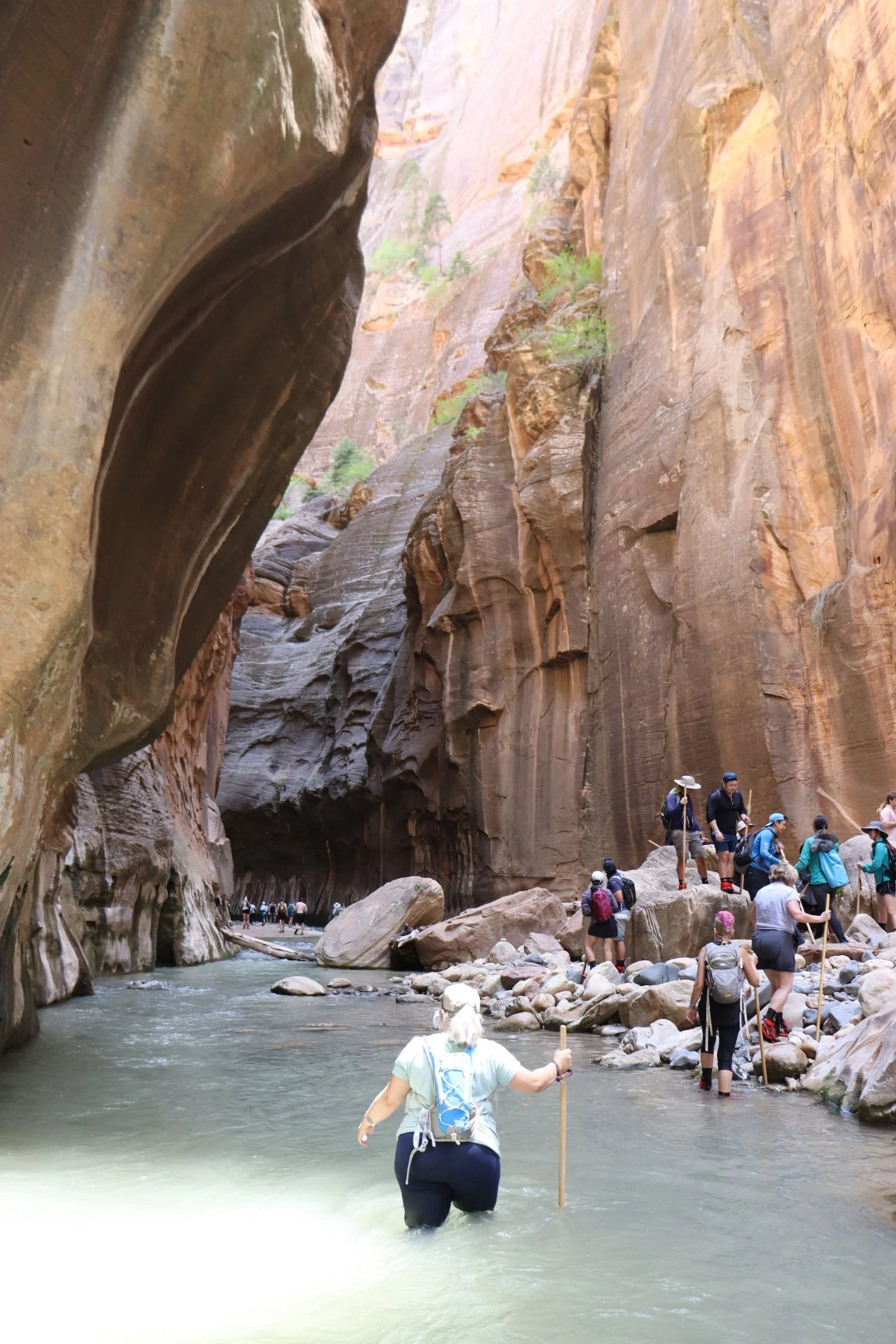 Group of hikers crossing a river in a narrow canyon with tall, steep, colorful rock walls.