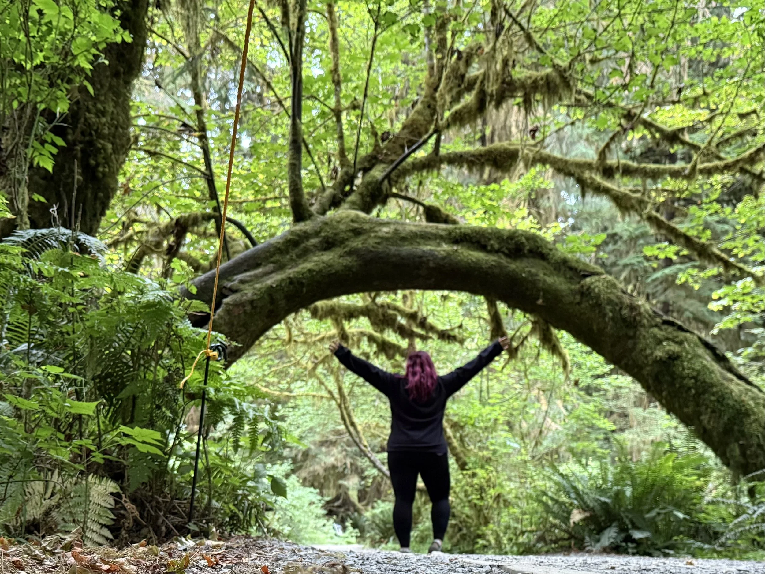 Person with purple hair standing on forest trail with arms outstretched beneath a large moss-covered tree branch in a lush green forest.