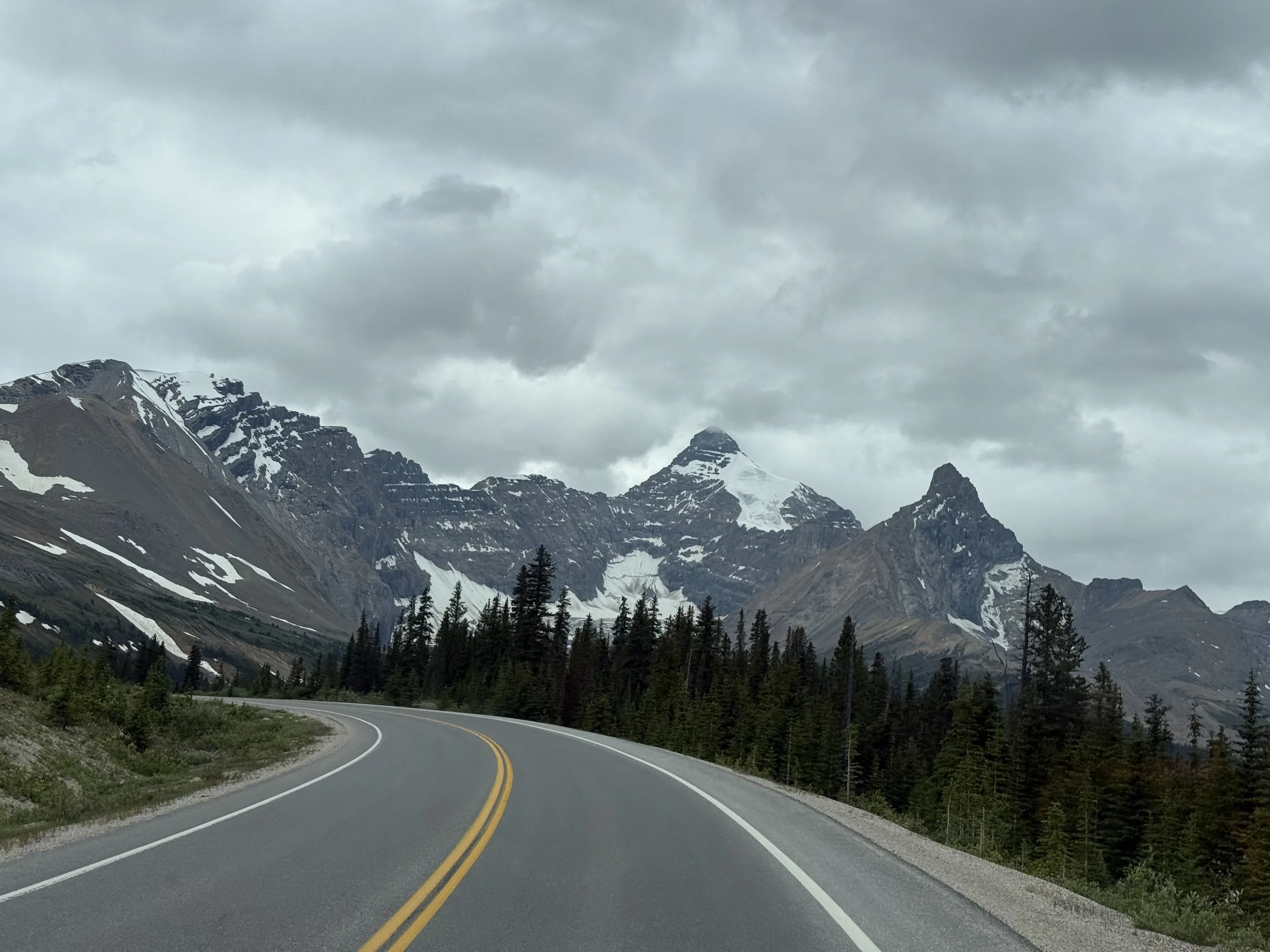 A winding mountain road with double yellow lines, bordered by evergreen trees, leading towards snow-capped rugged mountains under a cloudy sky.