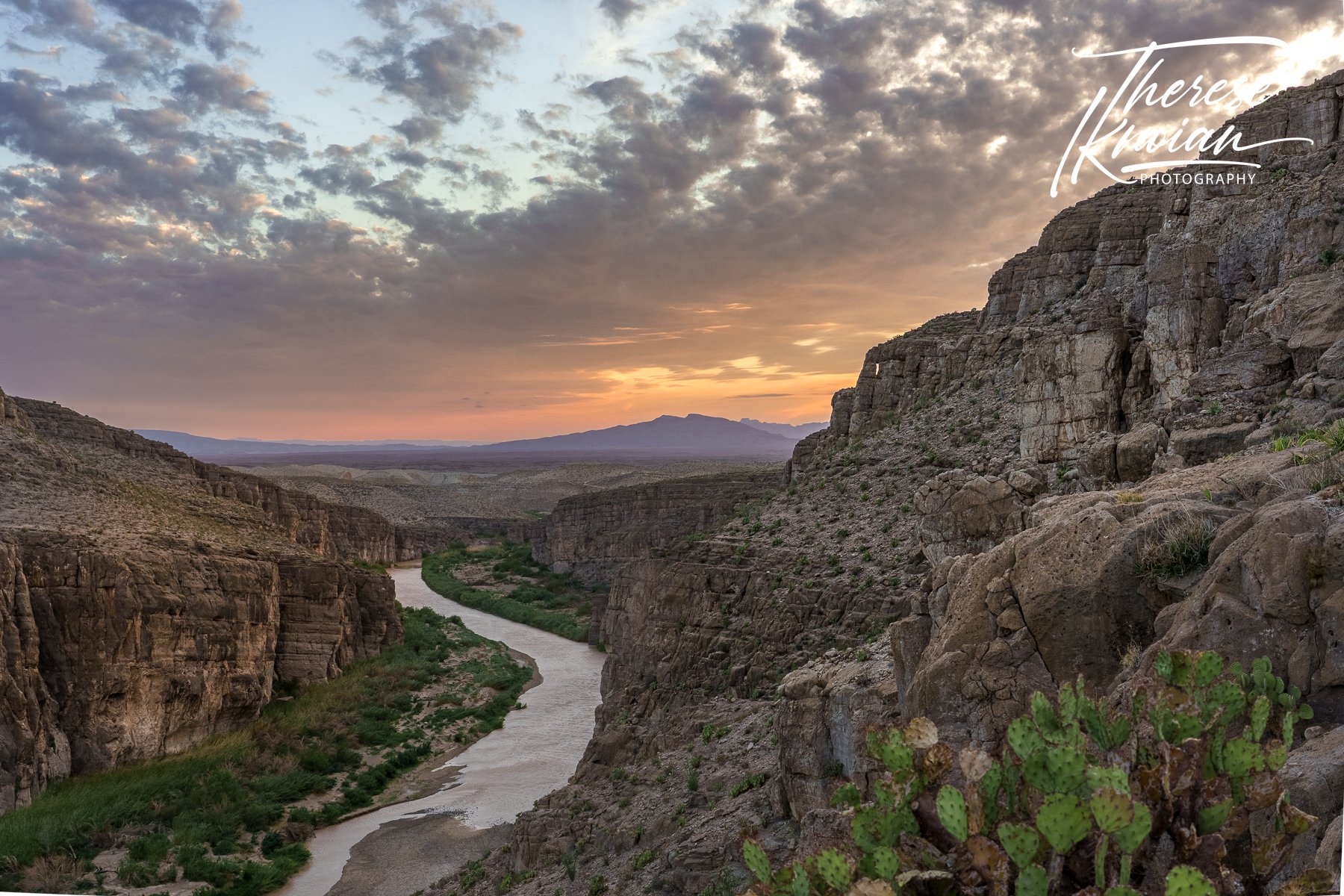 Big Bend National Park: Chasing stars, wildlife and desert light