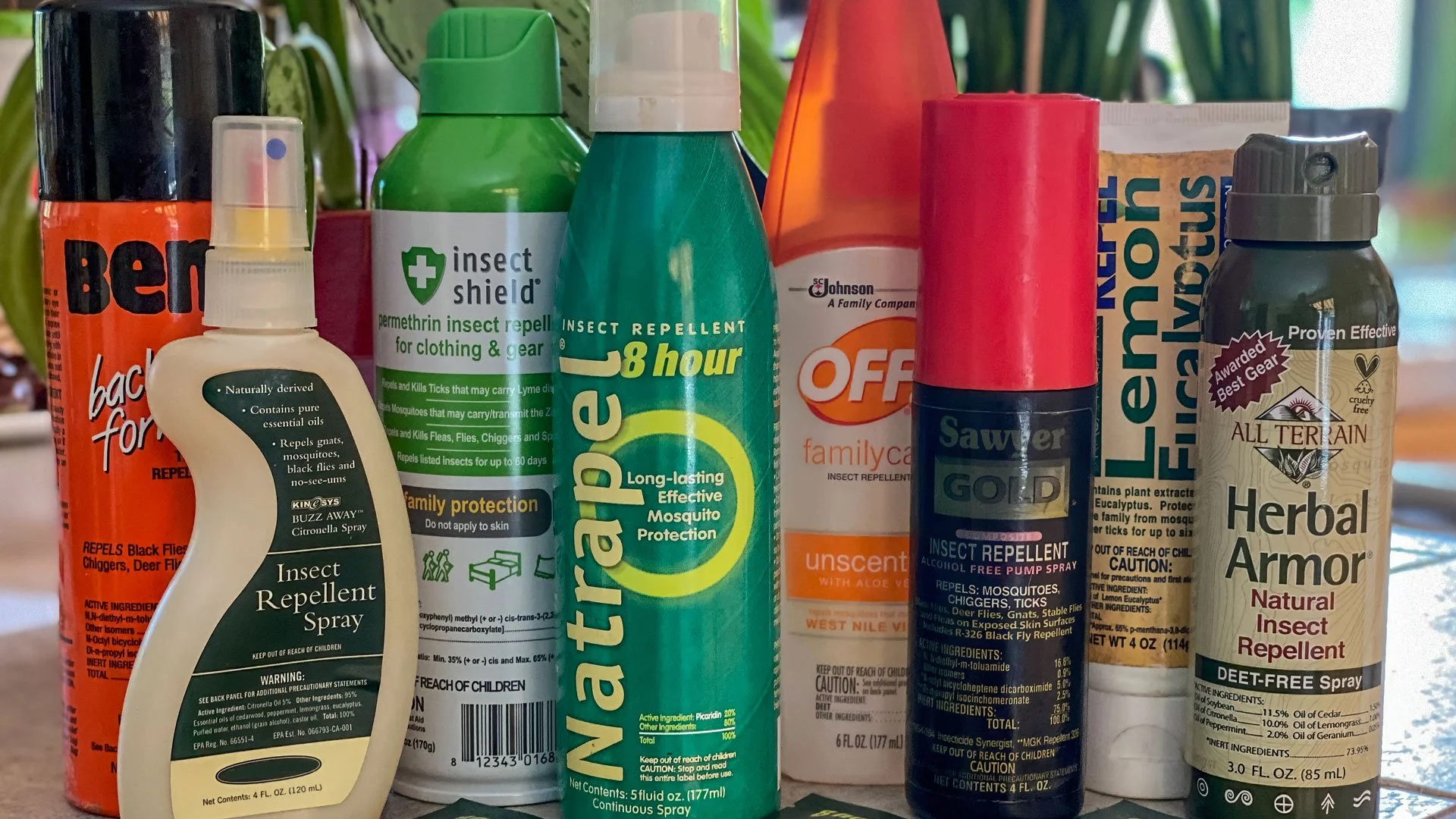 Best insect repellent for travel: what works and how to use it