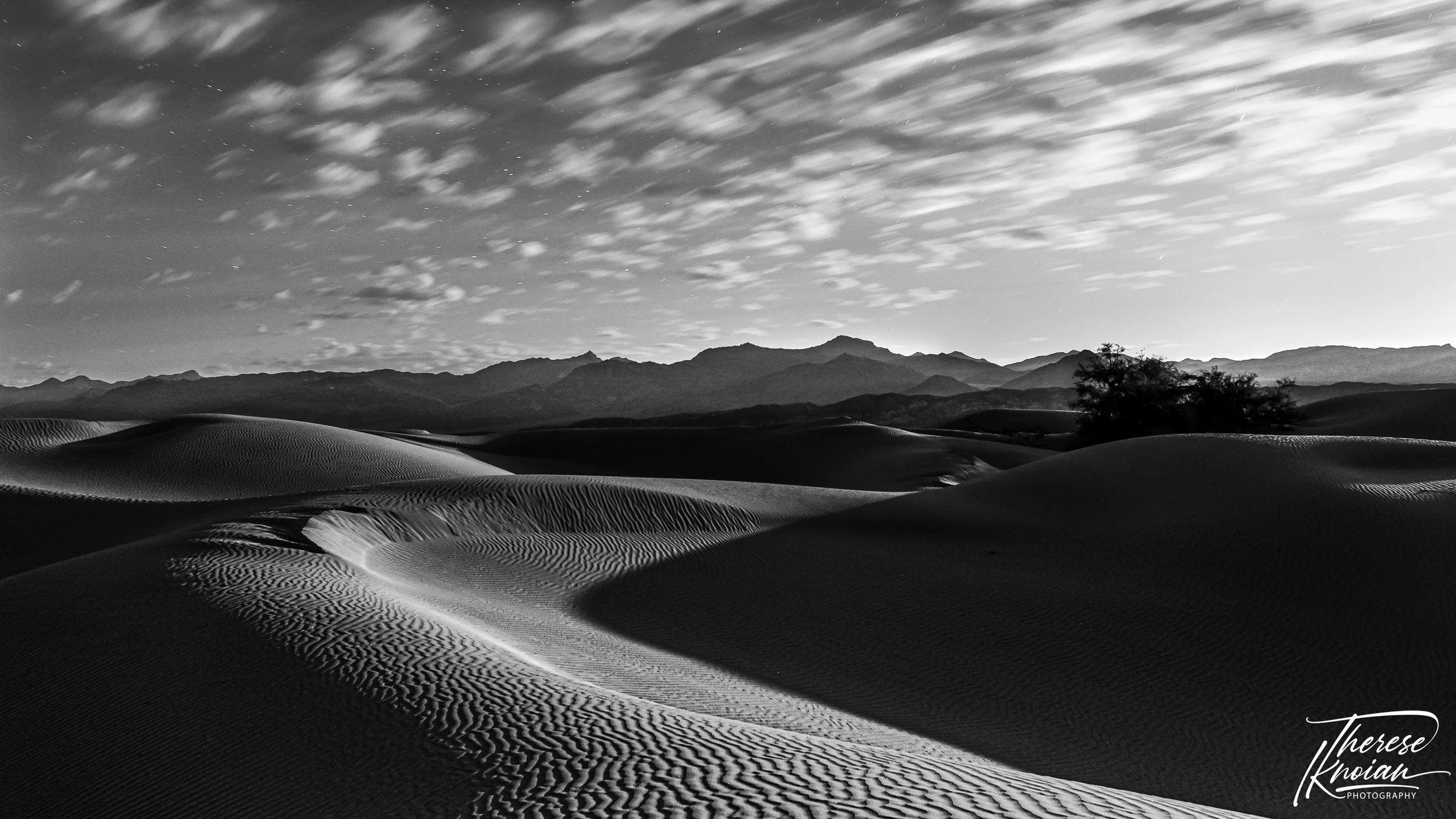 Therese Iknoian named Photographer of the Year, we win multiple medals