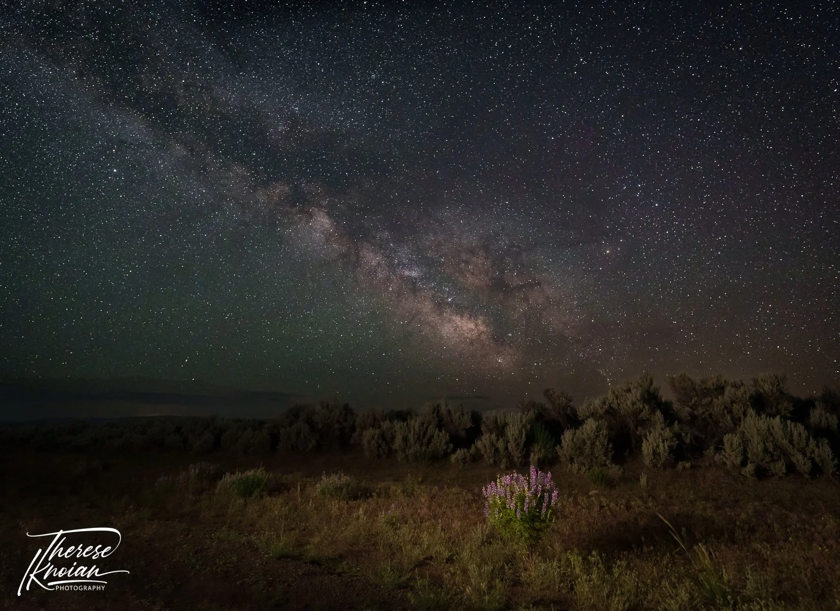 7 basic tips for photographing the Milky Way