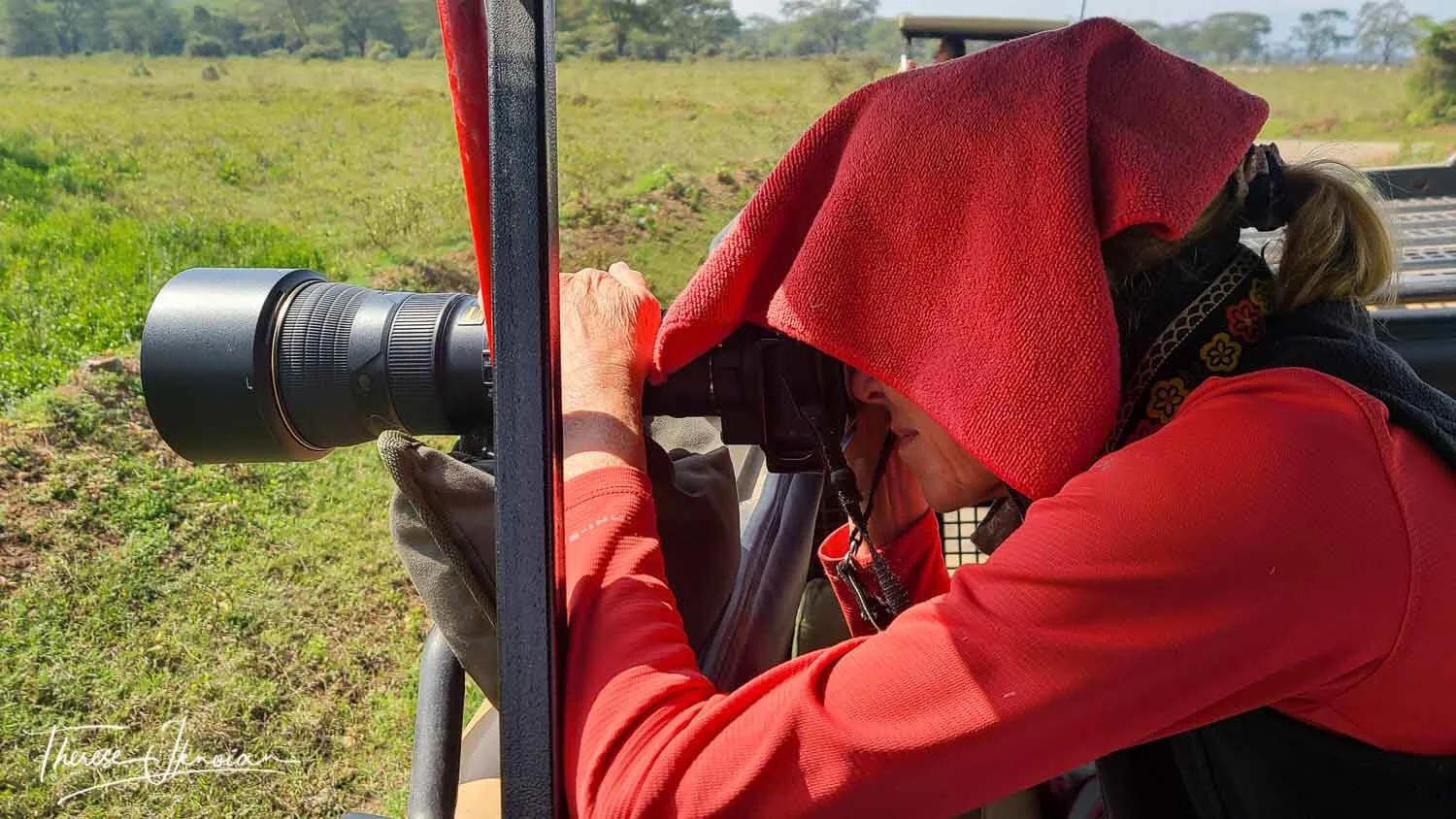 A photographer using a towel to shade her head and back of the camera on a hot day during an African photo safari.