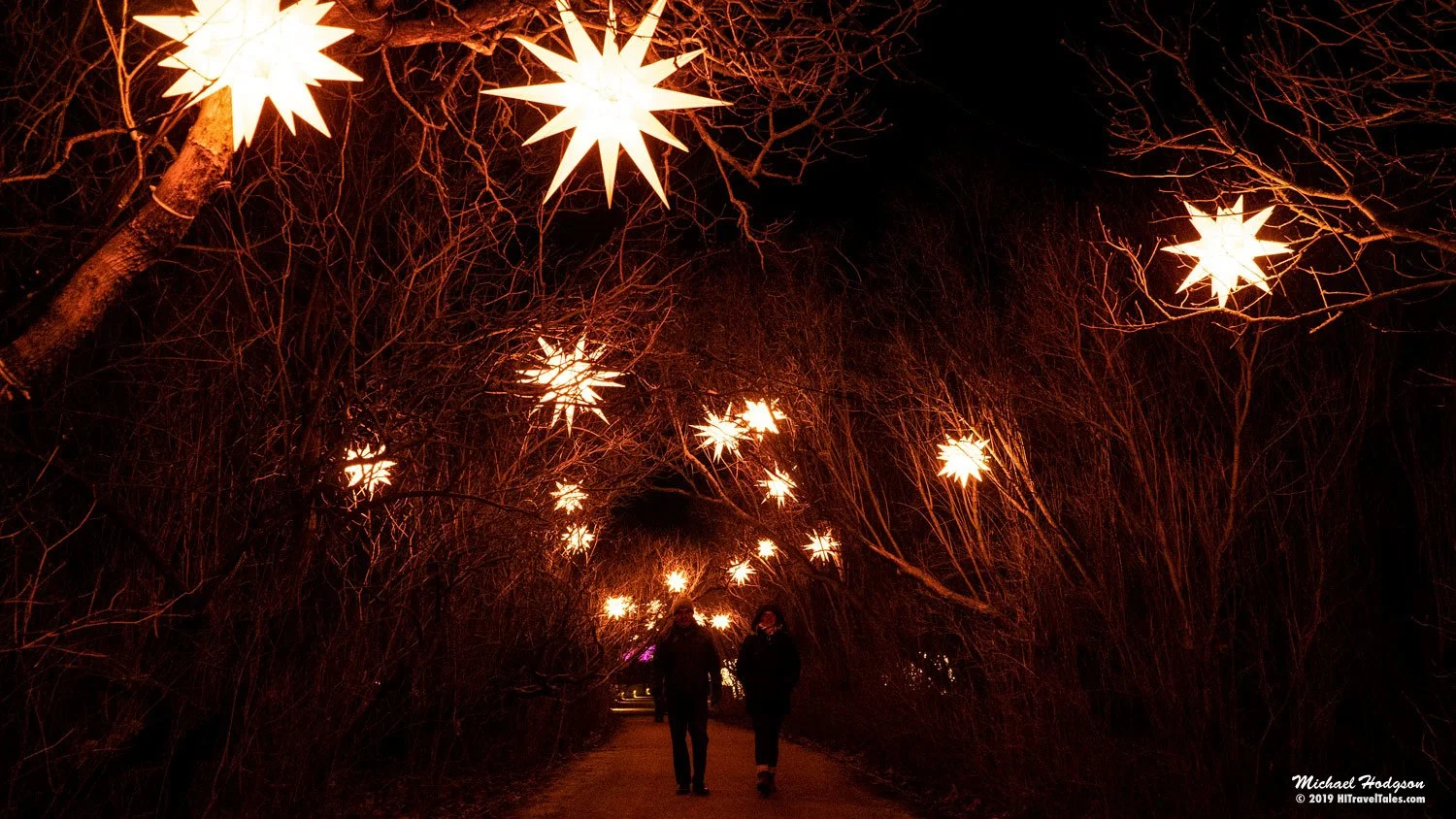 The star tunnel at the Christmas at the Zoo illumination