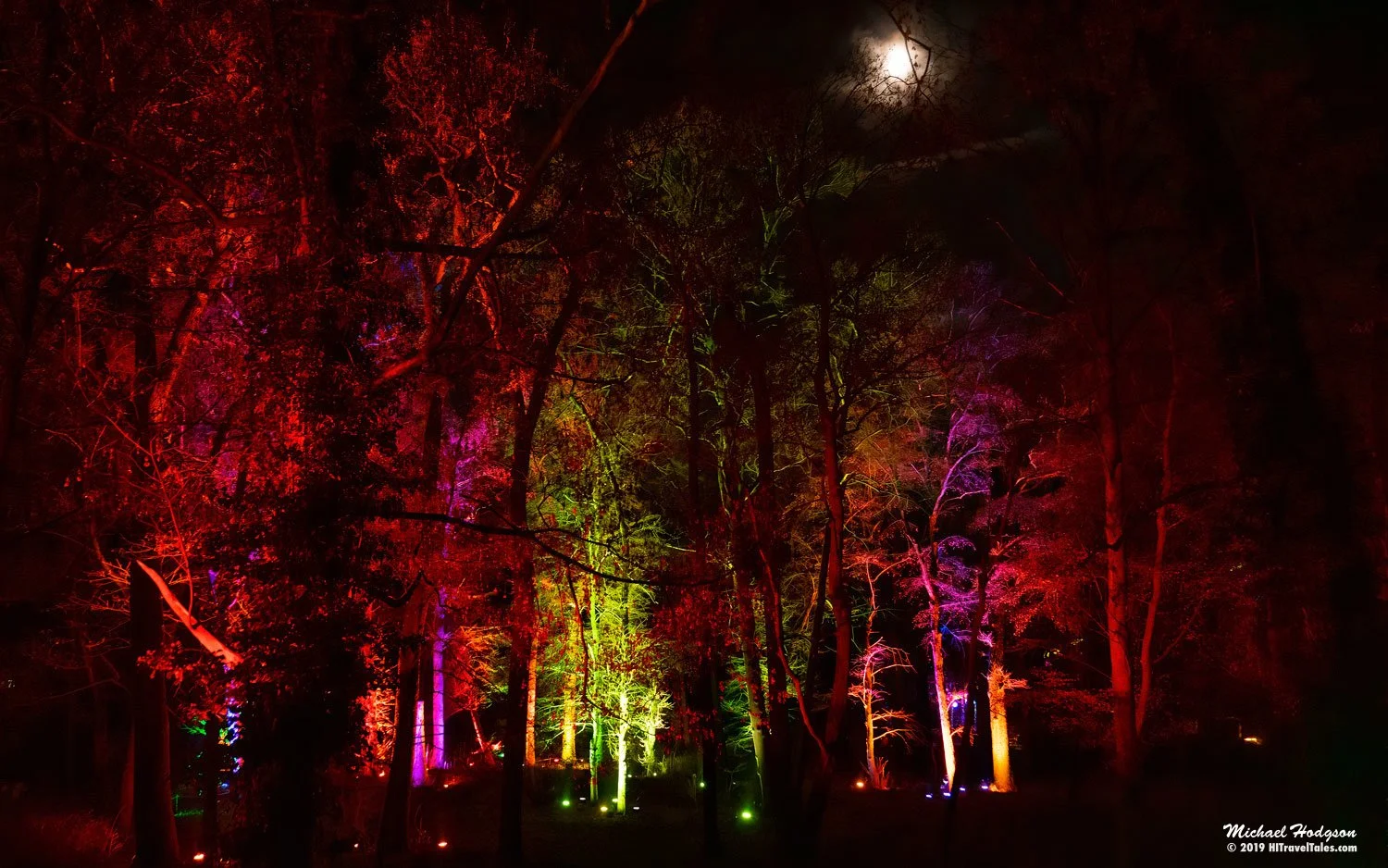 Moon Mist And Colors In The Magic Forest In Christmas At The Tierpark in Berlin