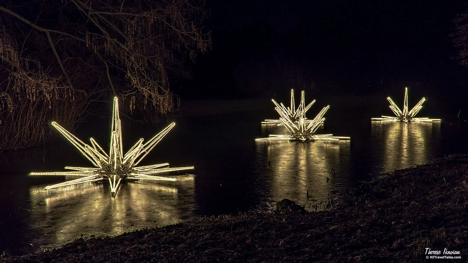 Stars on ice at Christmas at the Tierpark in Berlin