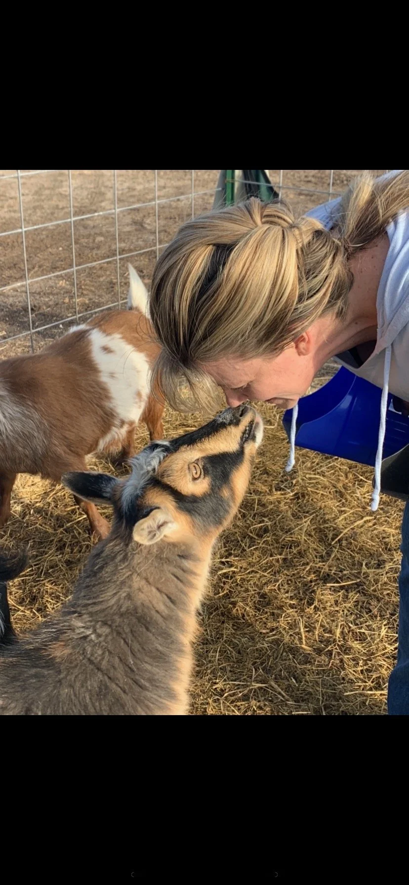A woman bends over and touches noses with a goat, with a small pig and a dog nearby in a farm setting with dirt ground and a chain-link fence in the background.
