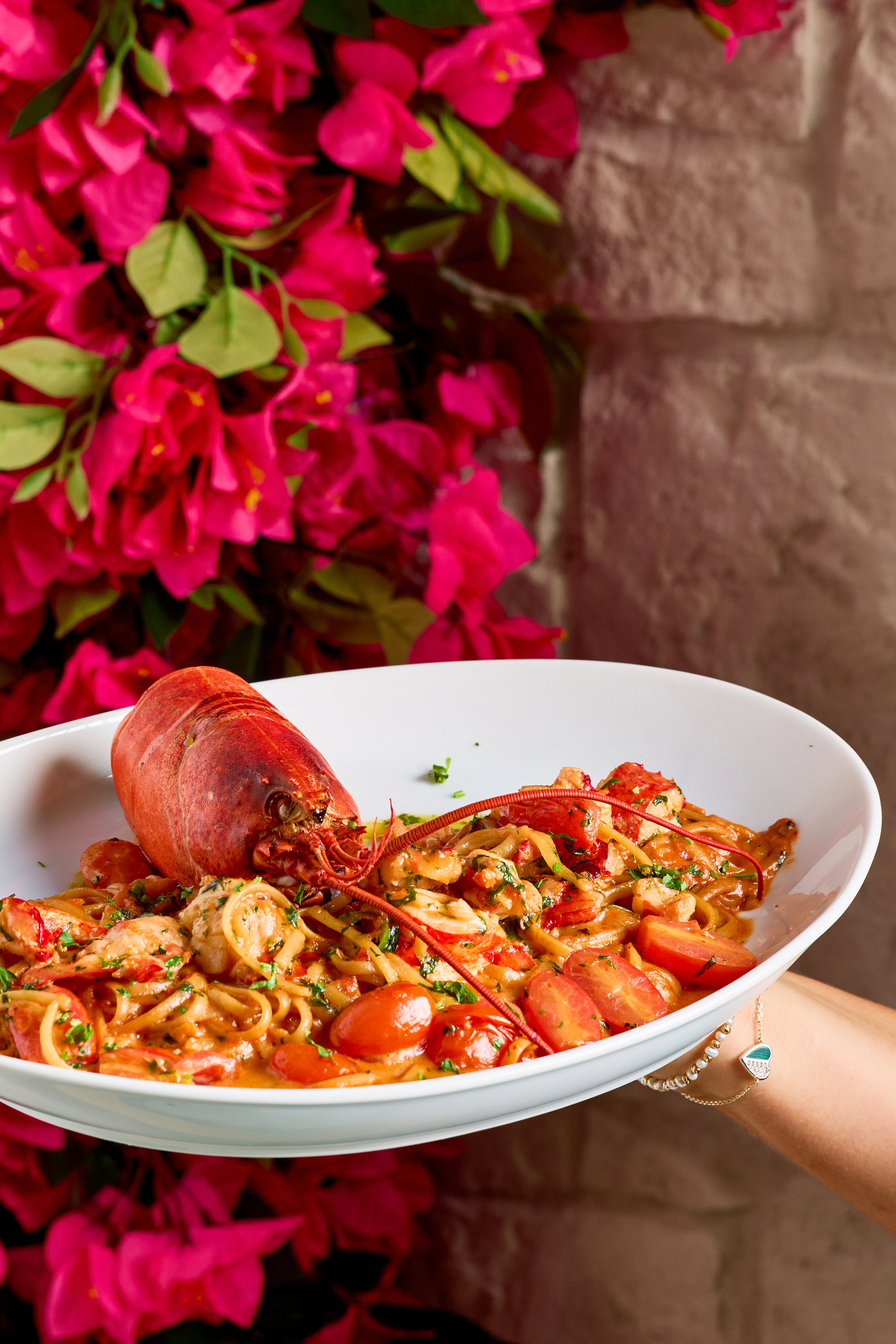 Selini - Dec 2025 - 51.JPEG