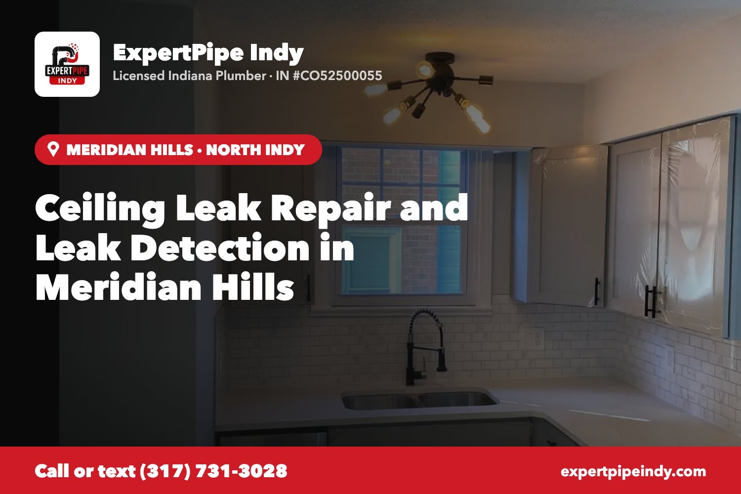 Ceiling Leak Repair and Leak Detection in Meridian Hills