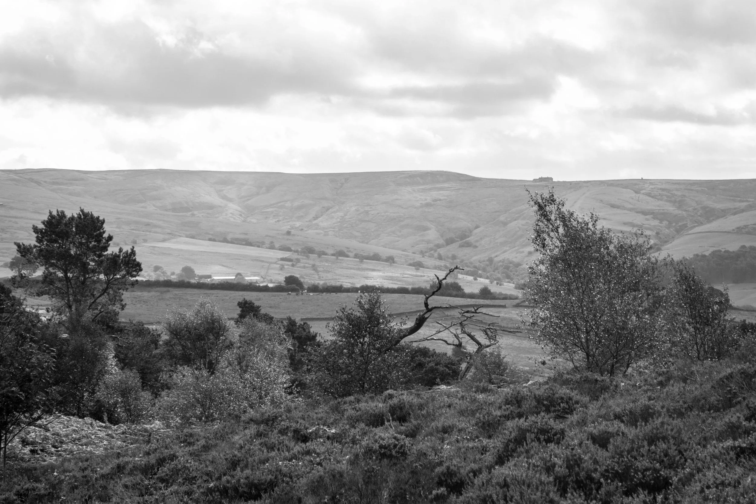 The Roaches, Peak District - 27.Aug.2025