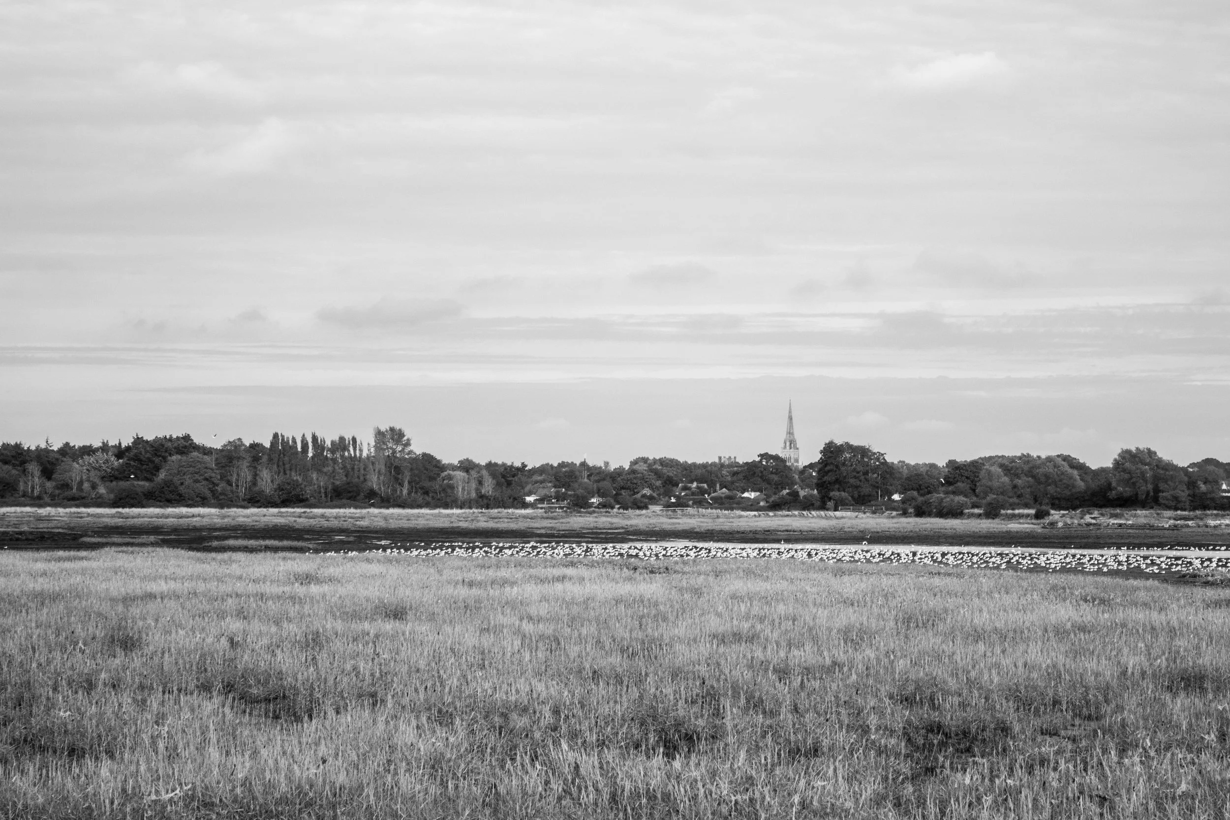Bosham, West Sussex (1.Oct.2025)_15.jpg