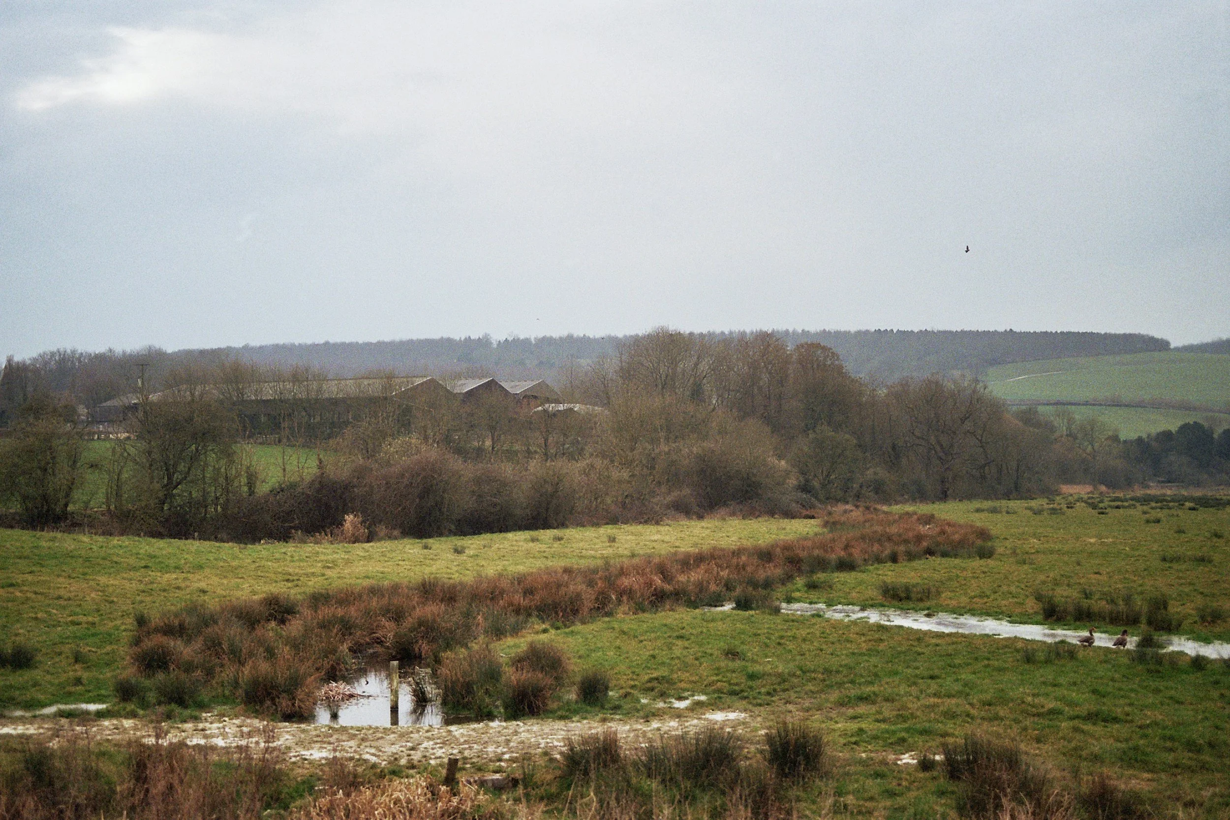 Arundel, West Sussex - 10.Mar.2025