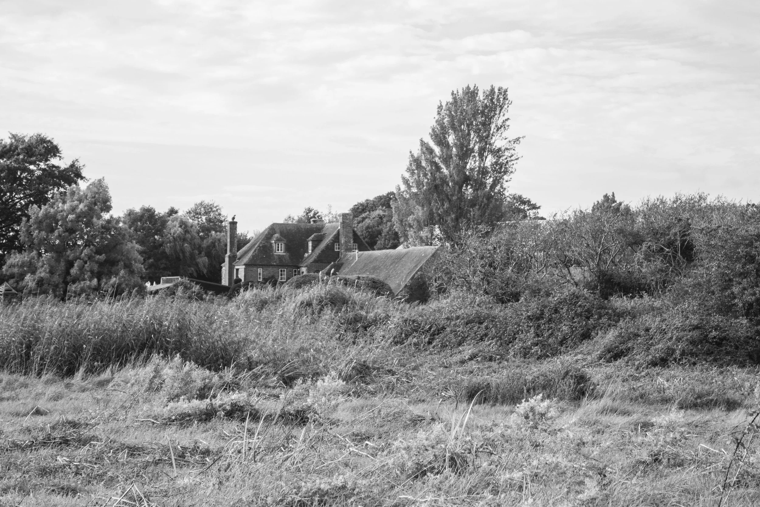 Bosham, West Sussex (1.Oct.2025)_9.jpg