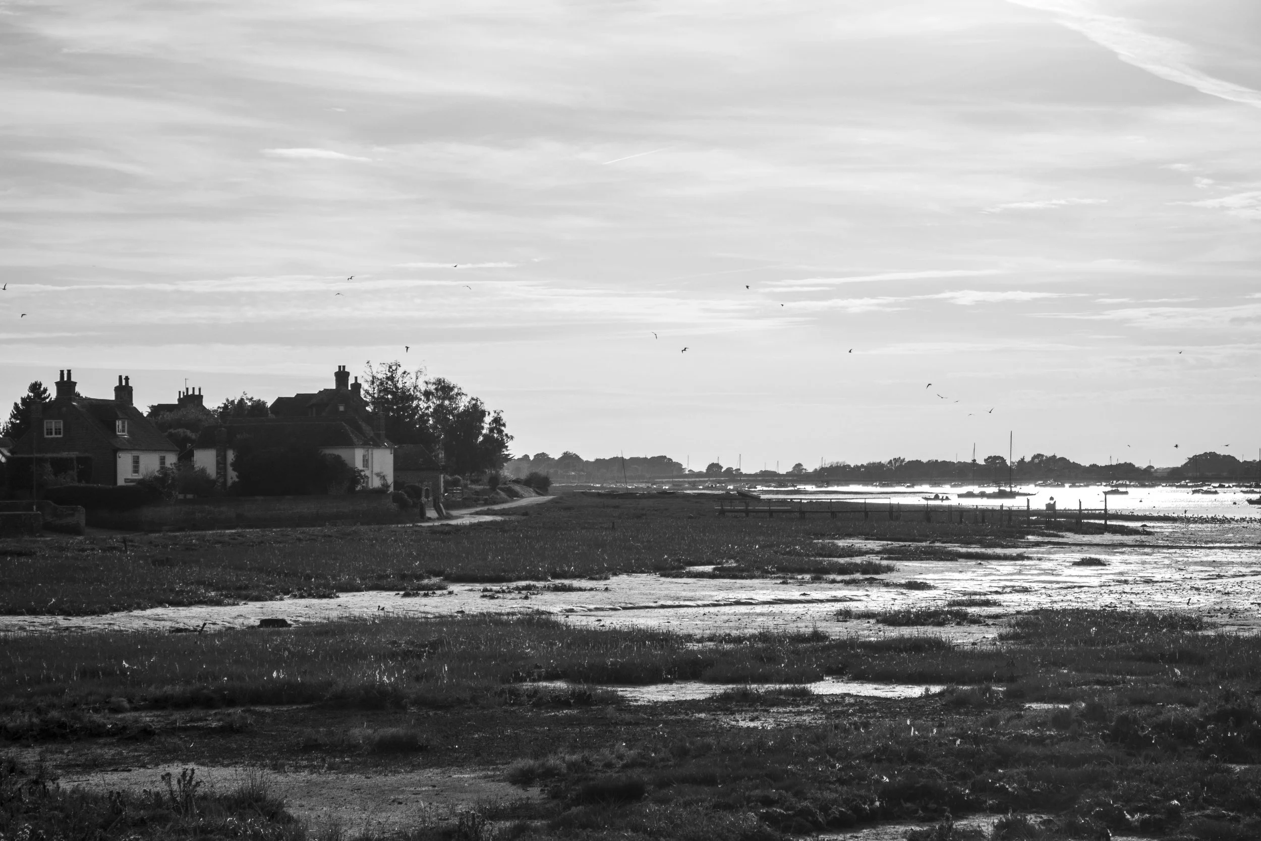 Bosham, West Sussex (1.Oct.2025)_18.jpg